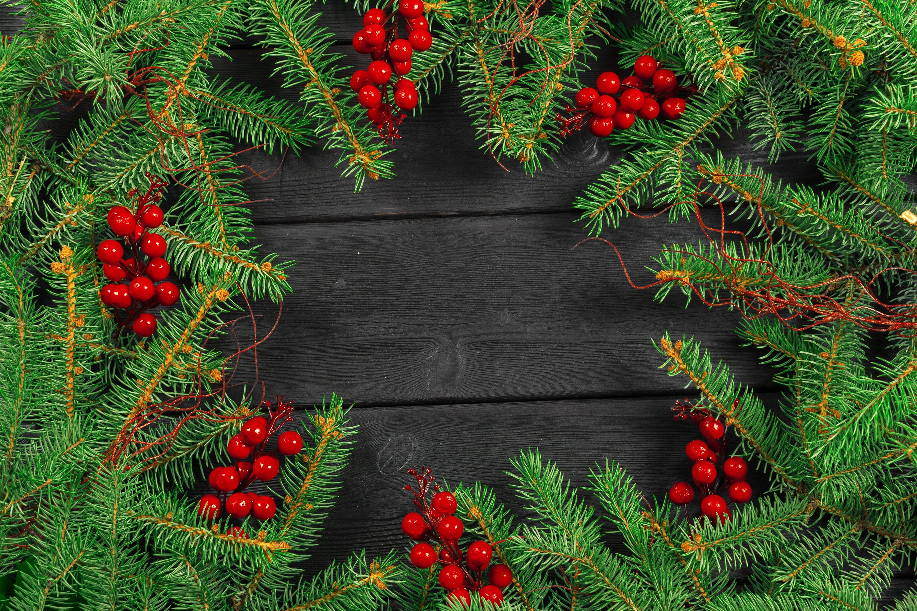 Christmas Fir Branches with Red Berries on Dark Wood HD Wallpaper
