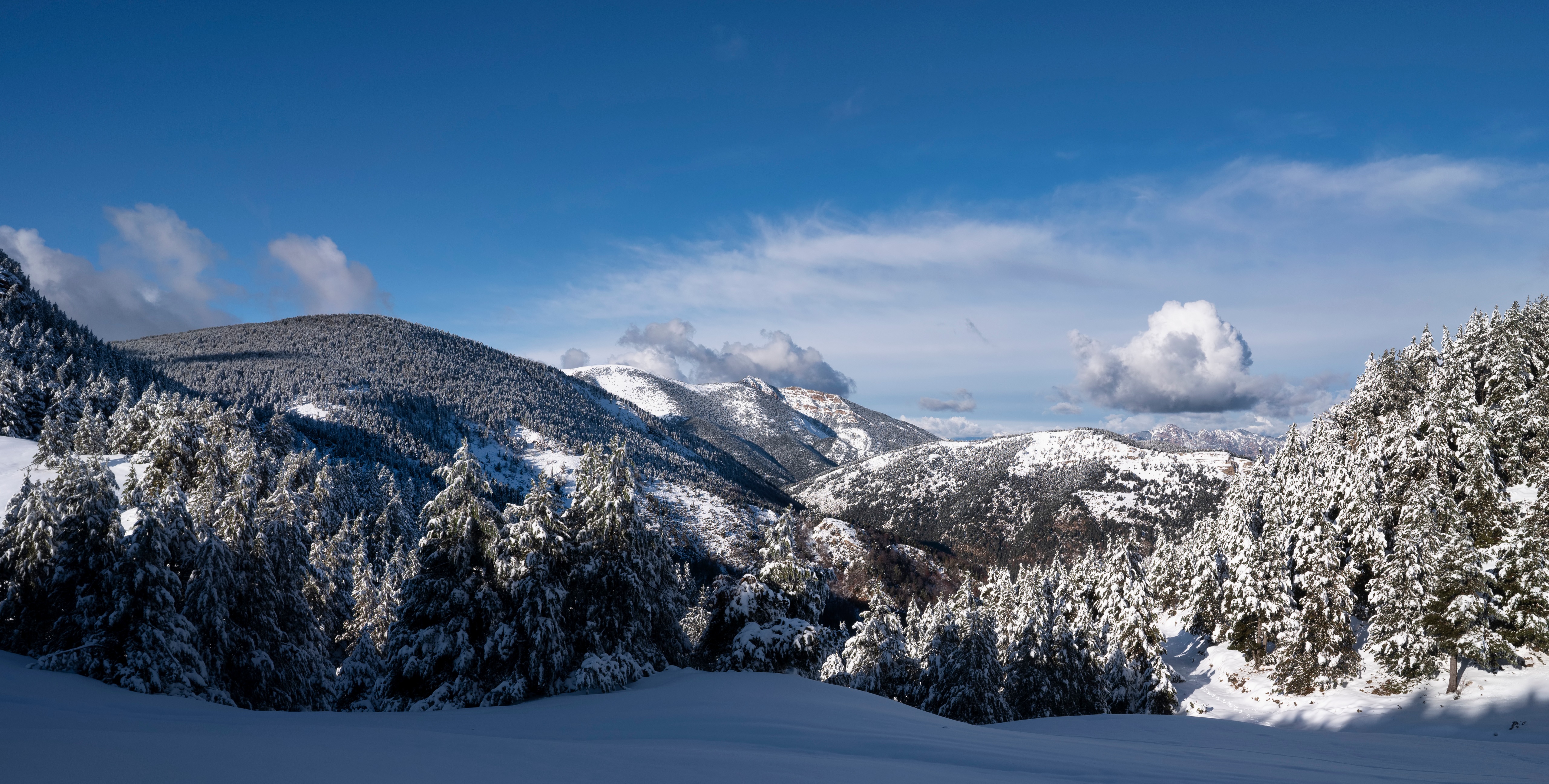 Snow-covered mountains and pine trees in Catalonia, Spain HD Wallpaper