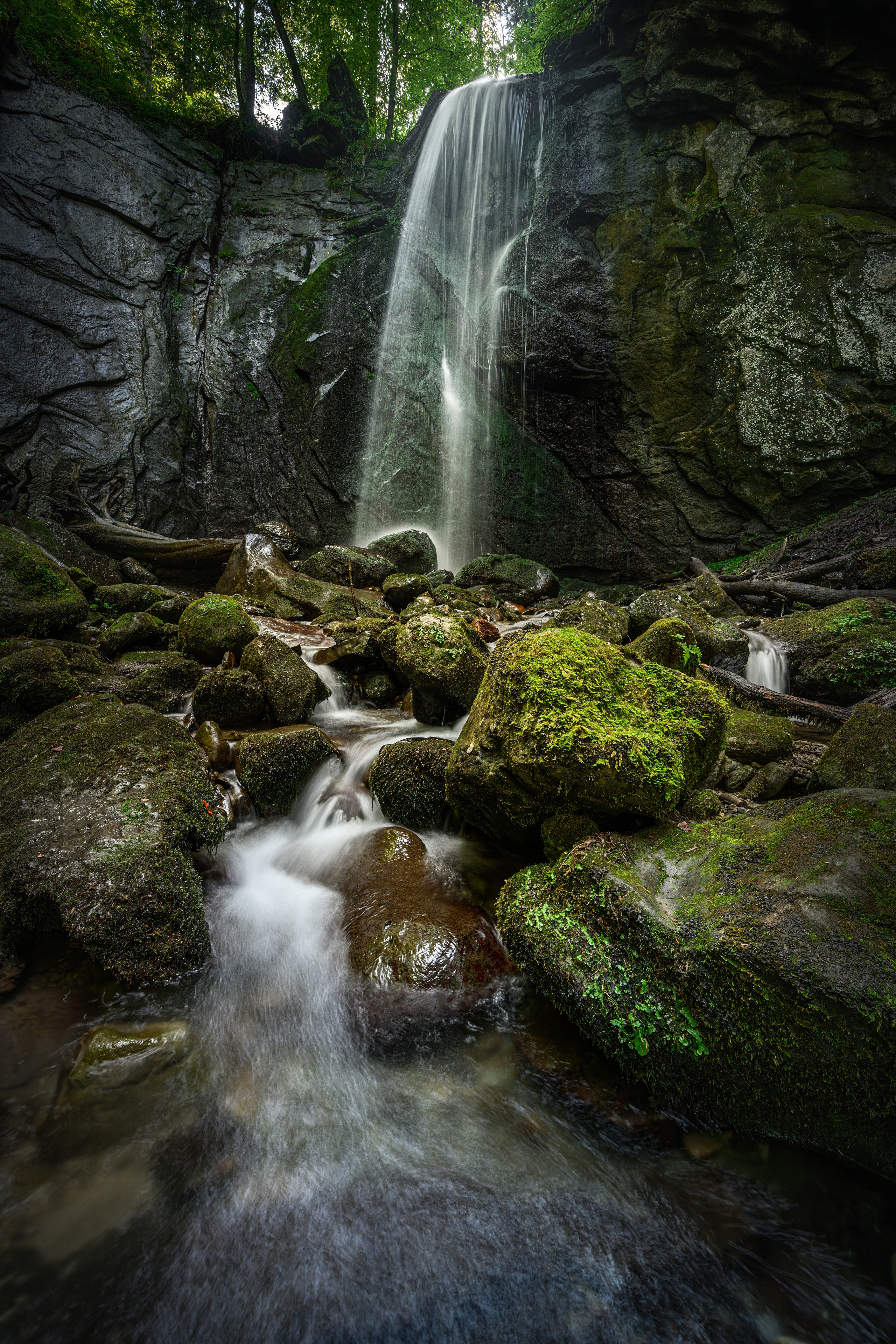 Waterfall cascading over mossy rocks in a forest HD Phone Wallpaper
