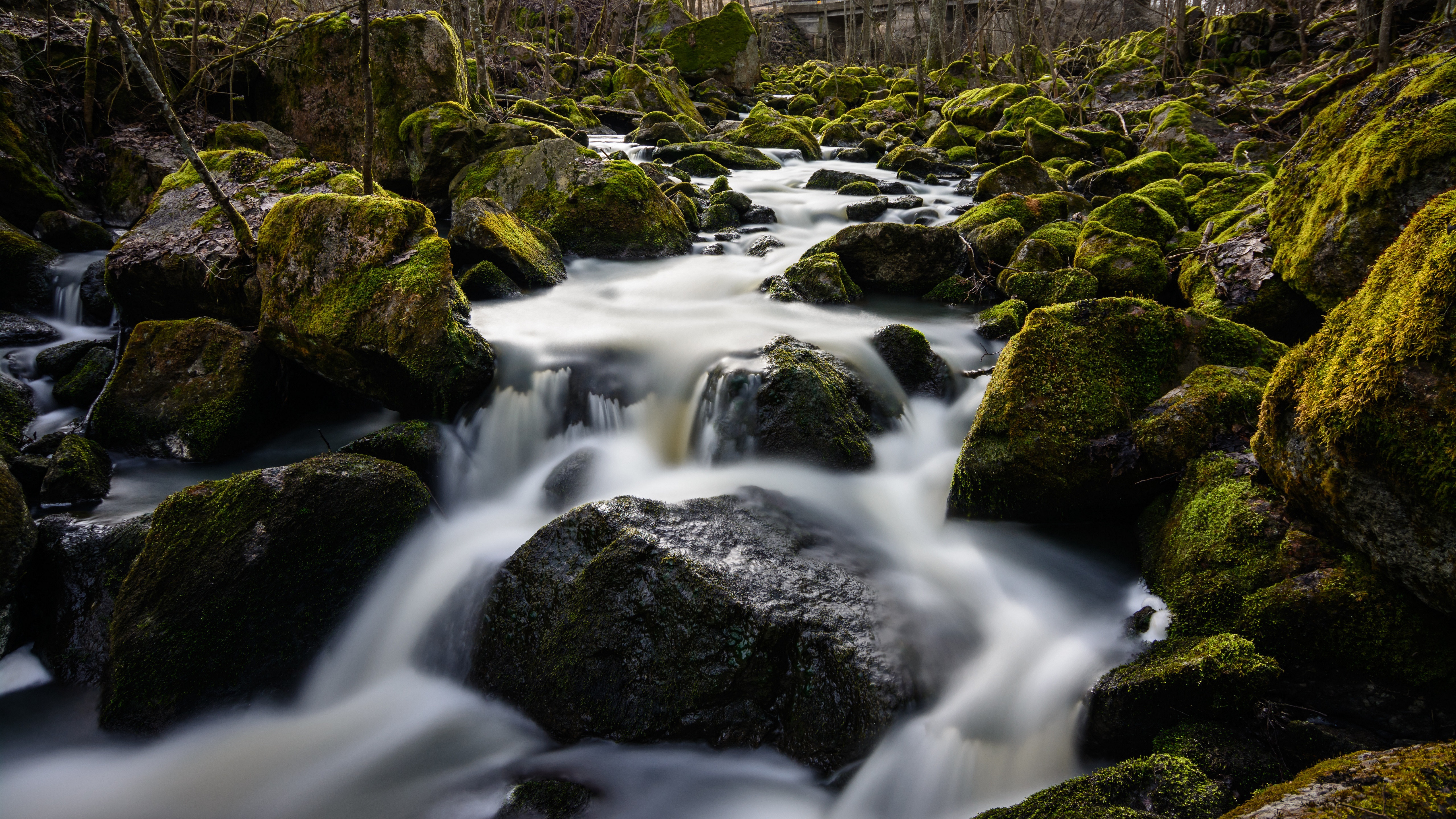 Mossy Stones in a Stream in Sweden HD Wallpaper