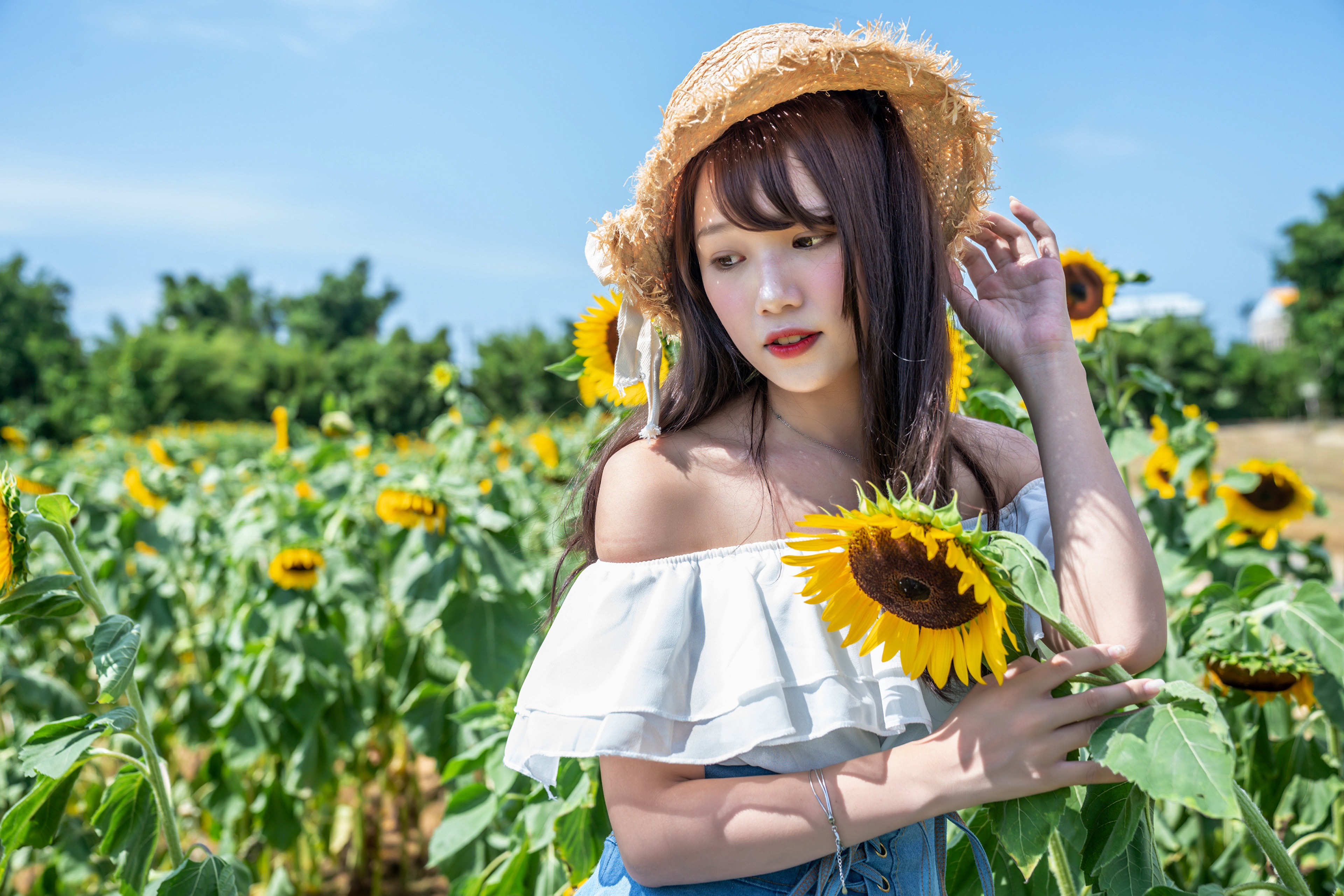 Asian girl in hat in sunflower field HD Wallpaper