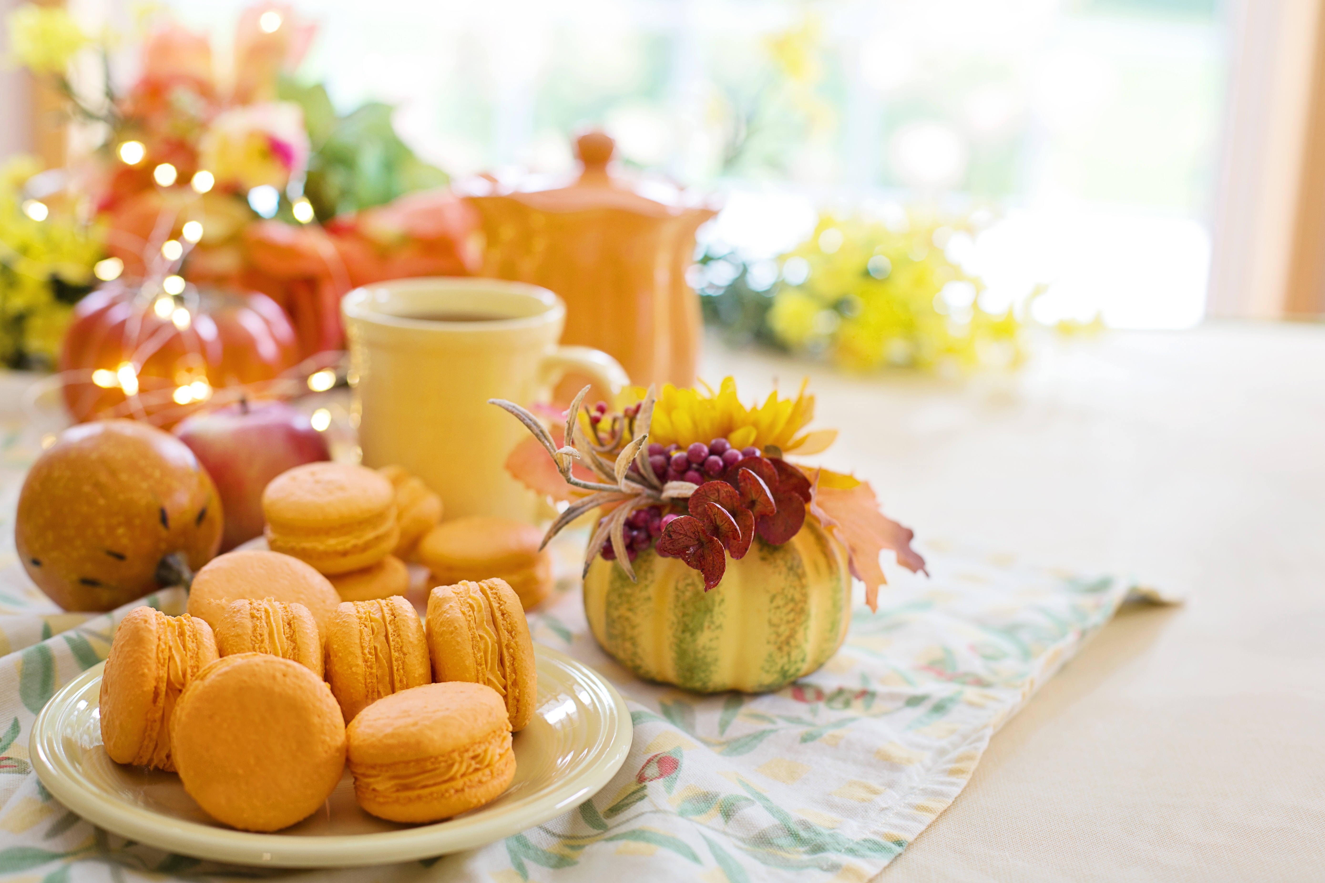 Autumnal Macarons and Coffee with Pumpkin Decor HD Wallpaper