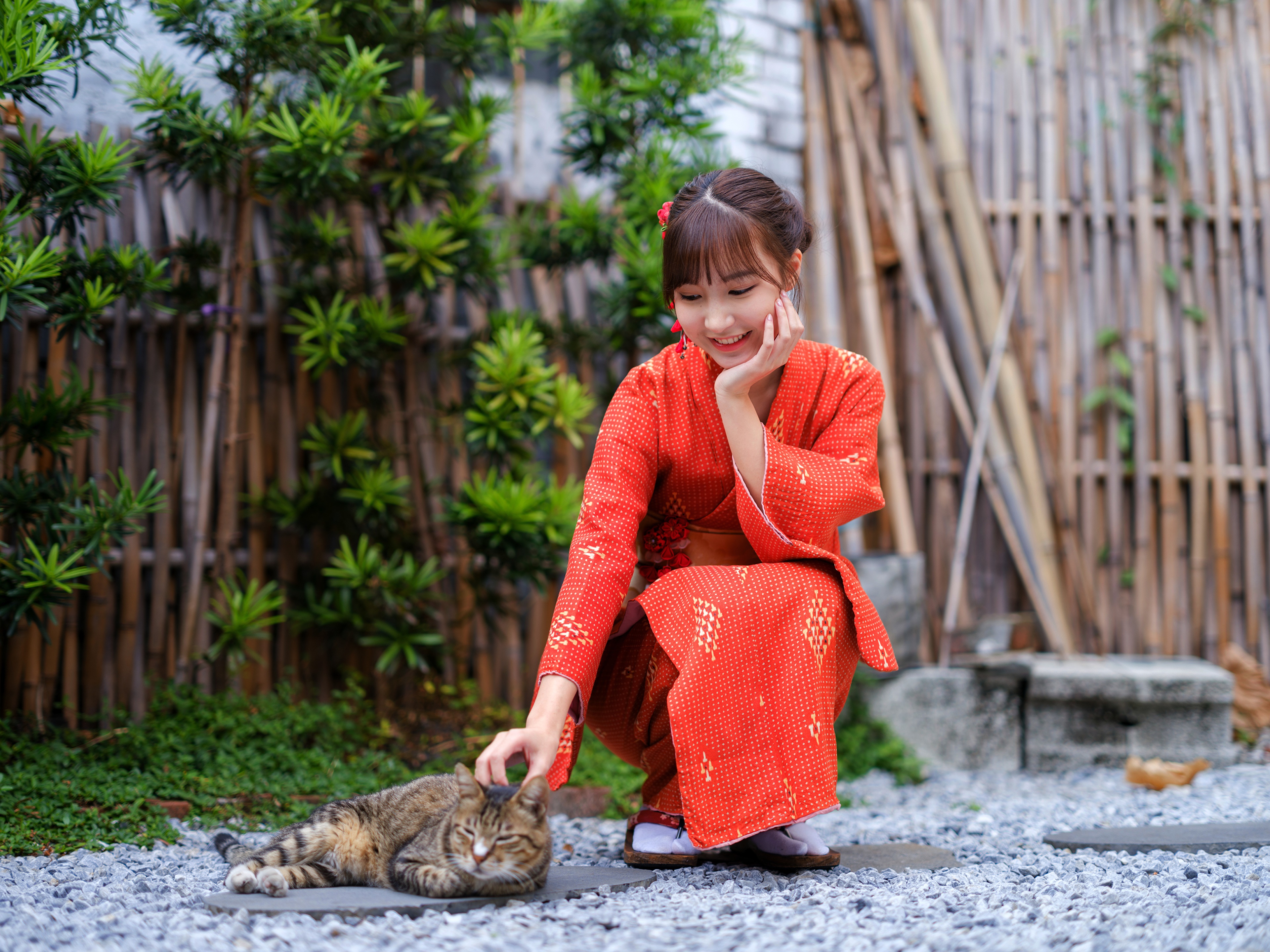 Asian woman in kimono petting a cat HD Wallpaper