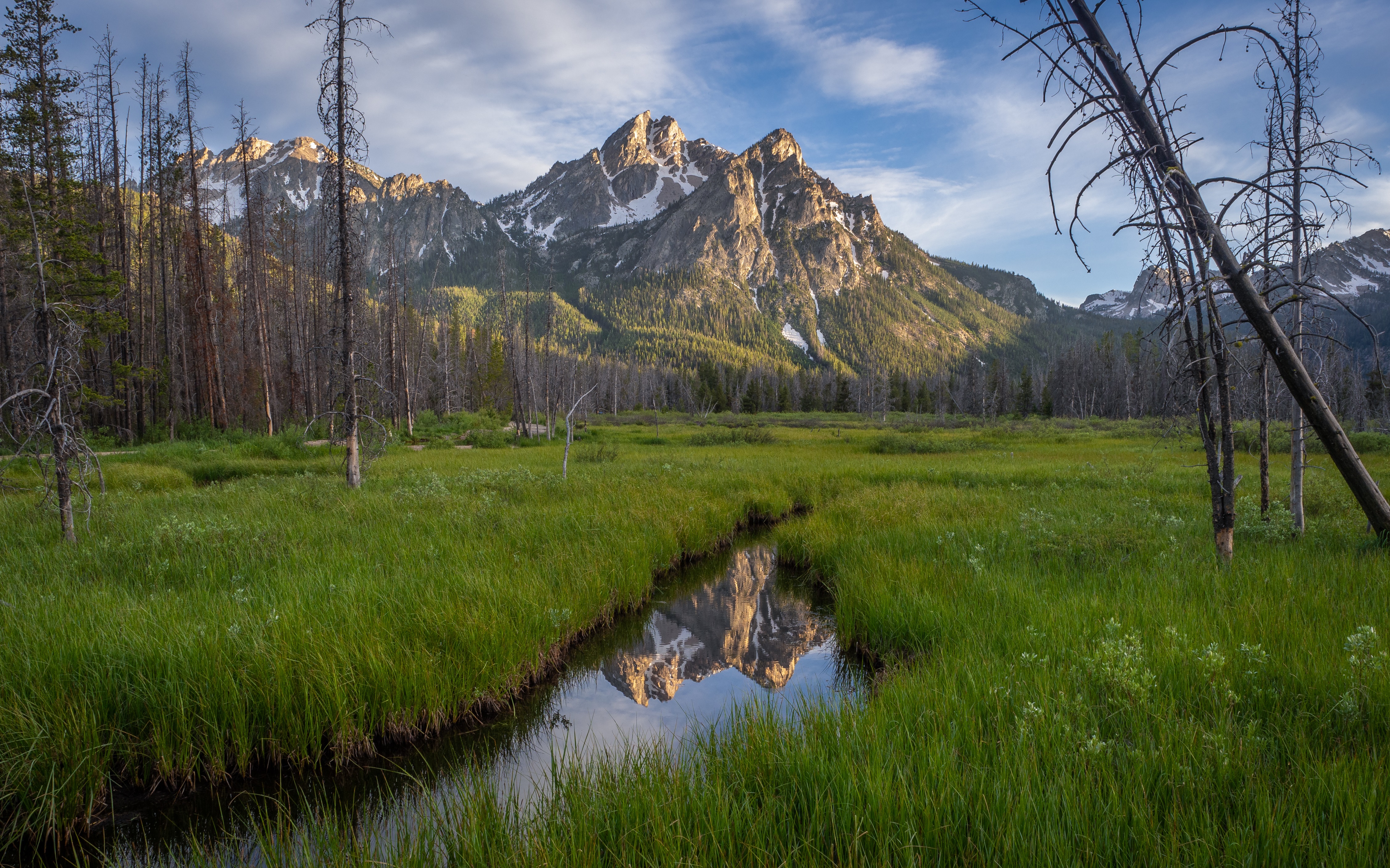 4K Mt. McGown Idaho USA Mountains Trees HD Wallpaper