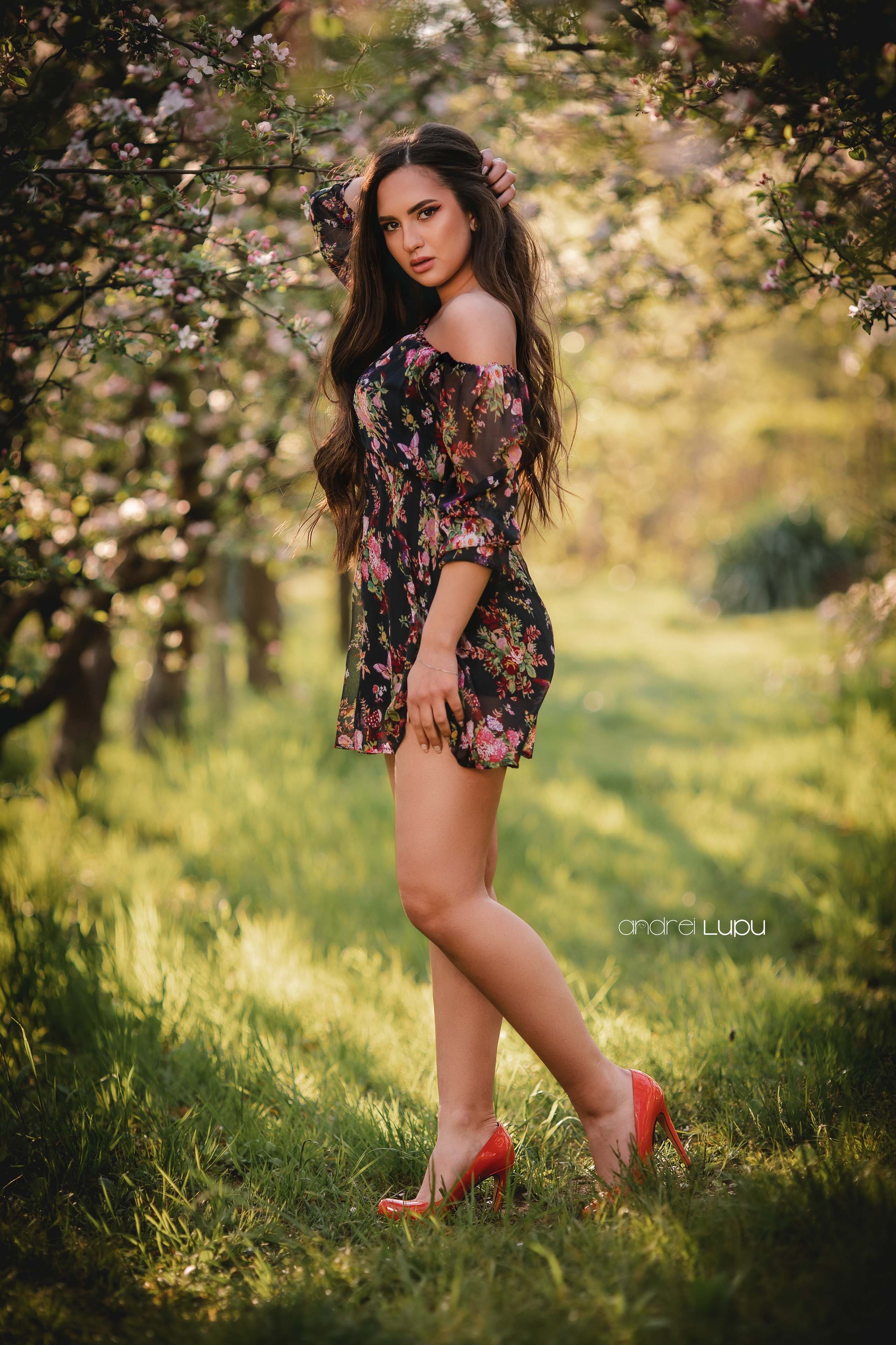 Isabelle in a floral dress posing in a garden HD Phone Wallpaper