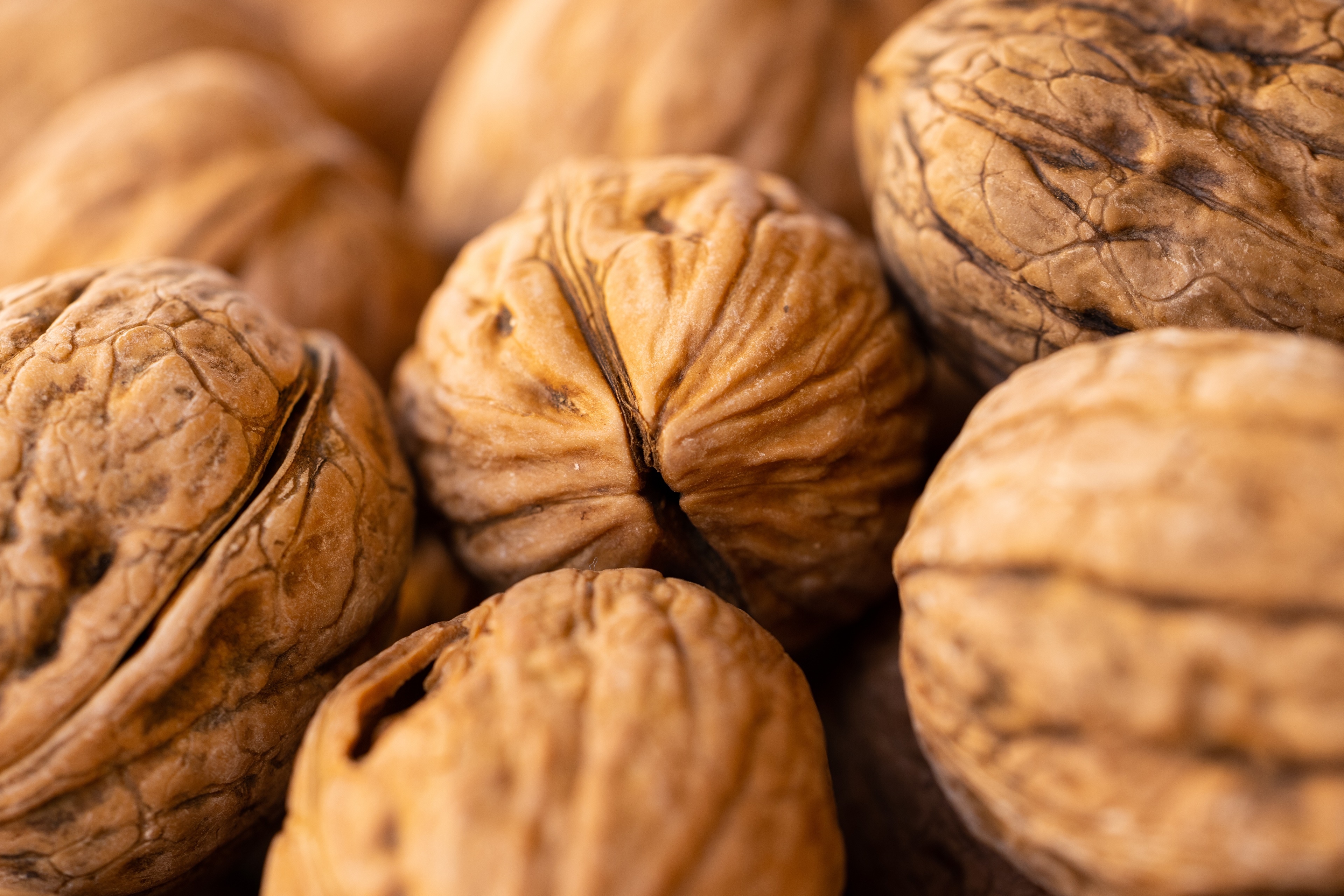 Closeup of Walnuts HD Wallpaper