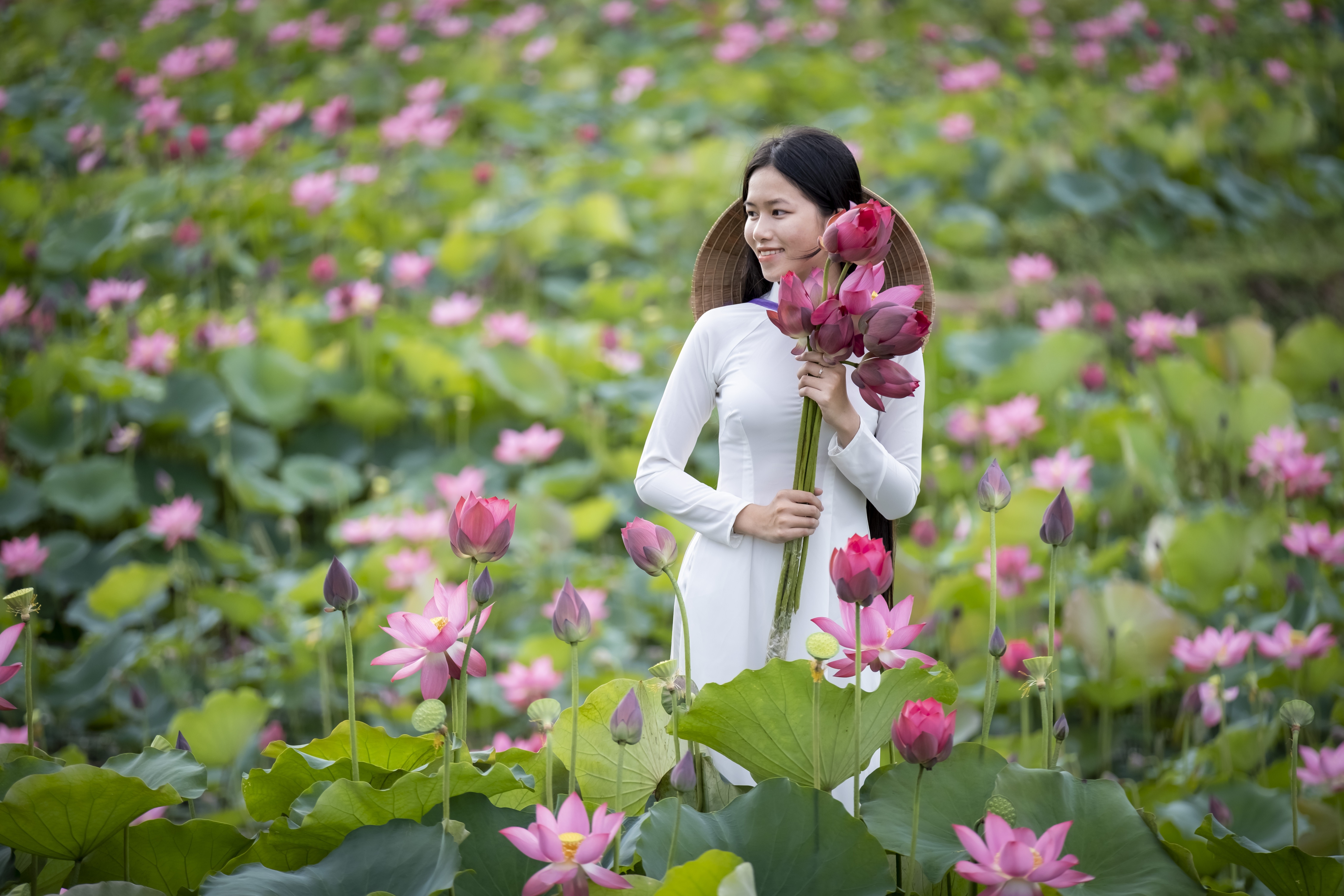 Woman in white dress holding lotus bouquet in lotus field HD Wallpaper