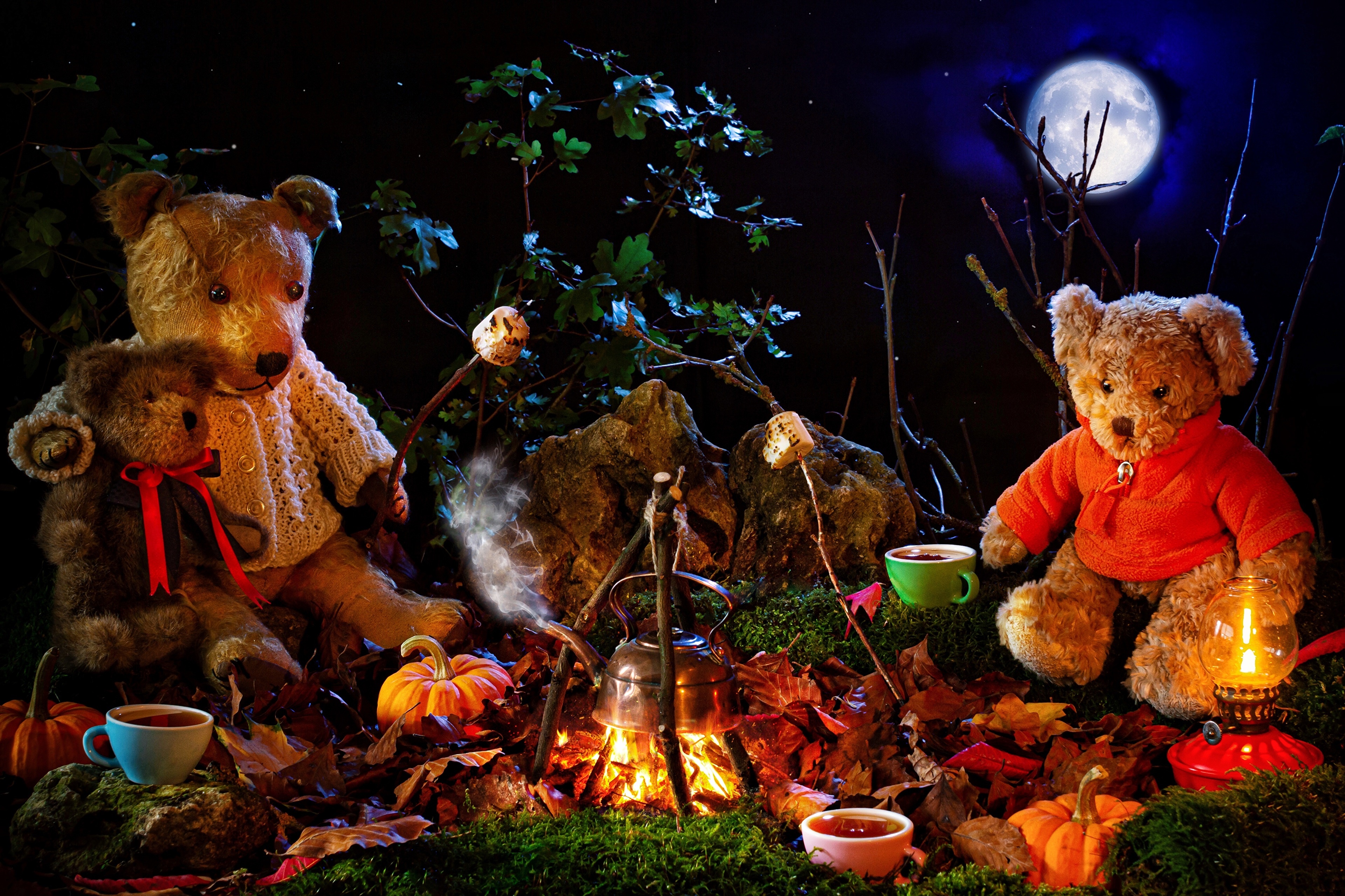 Teddy bears by a bonfire at night with moon HD Wallpaper