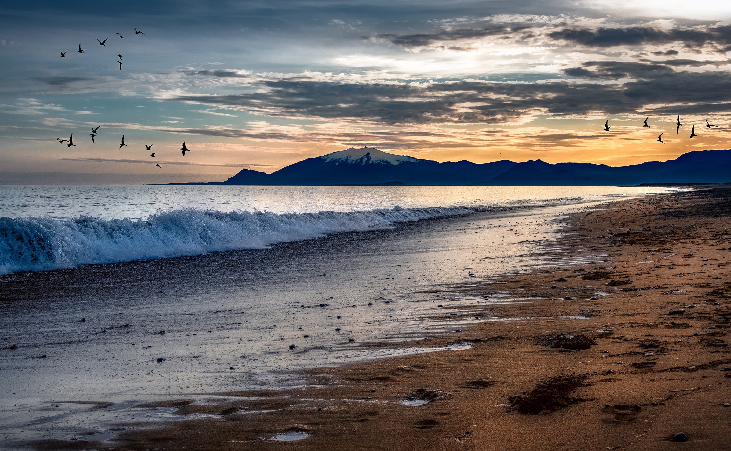 Birds flying over a beach with mountains at sunset HD Wallpaper