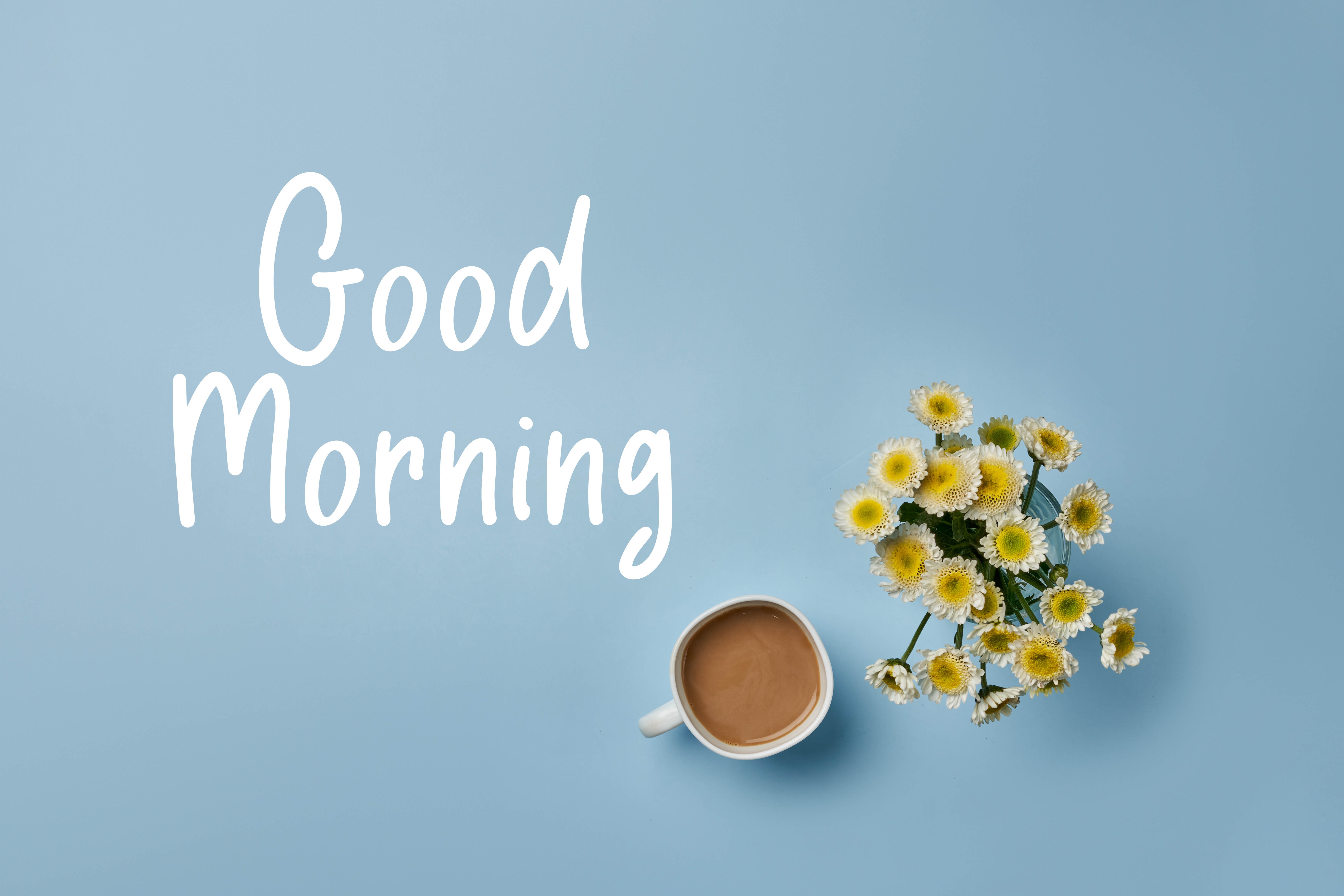 Good Morning text with coffee and chrysanthemums HD Wallpaper