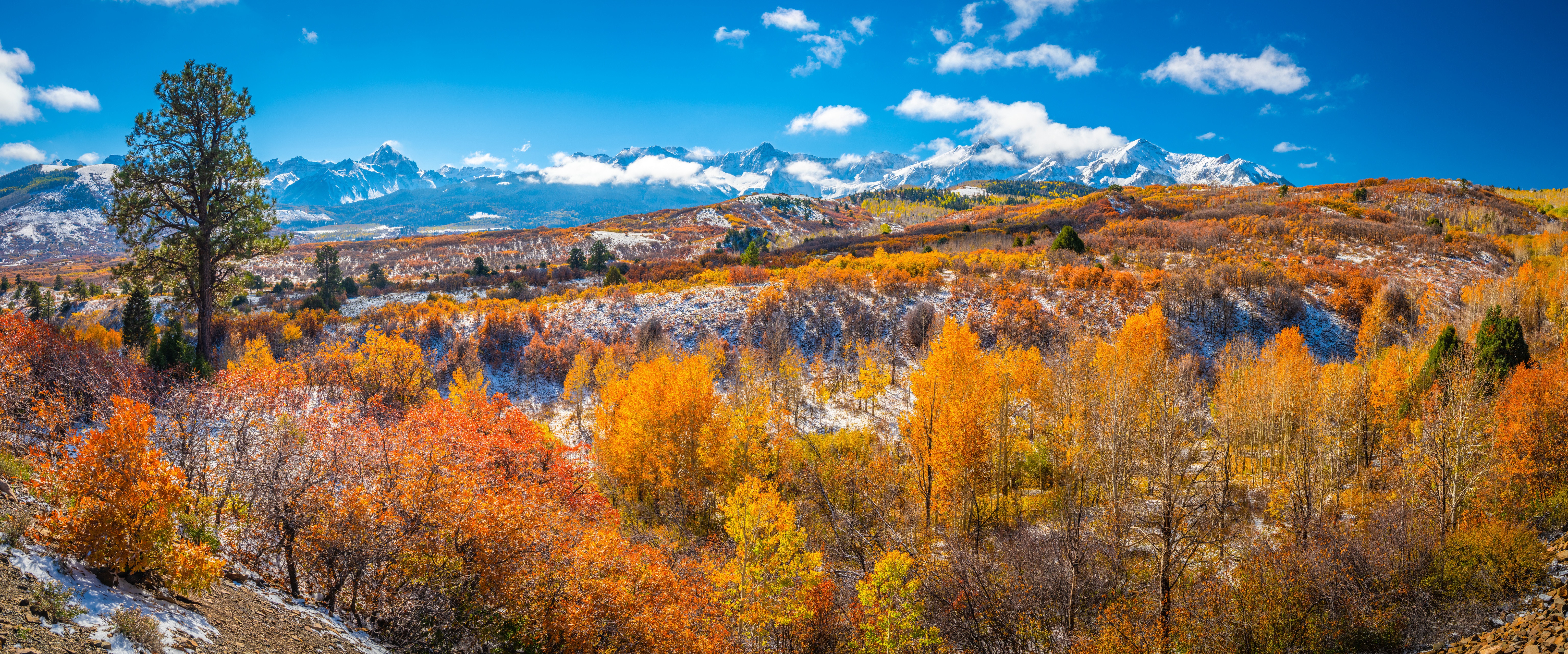 Dallas Divide Autumn Panorama with Mountains HD Wallpaper