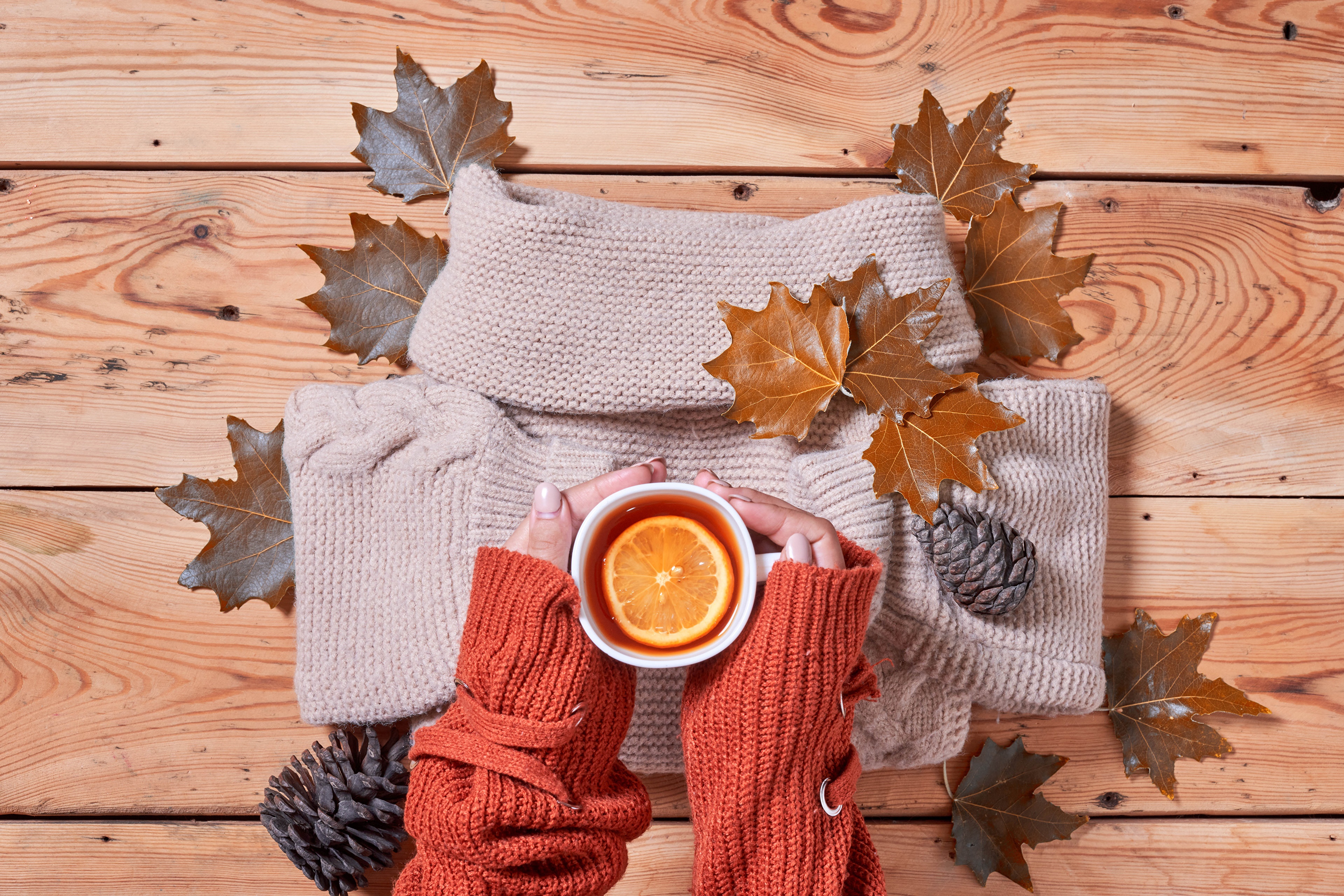 Autumn tea with lemon and fallen leaves HD Wallpaper