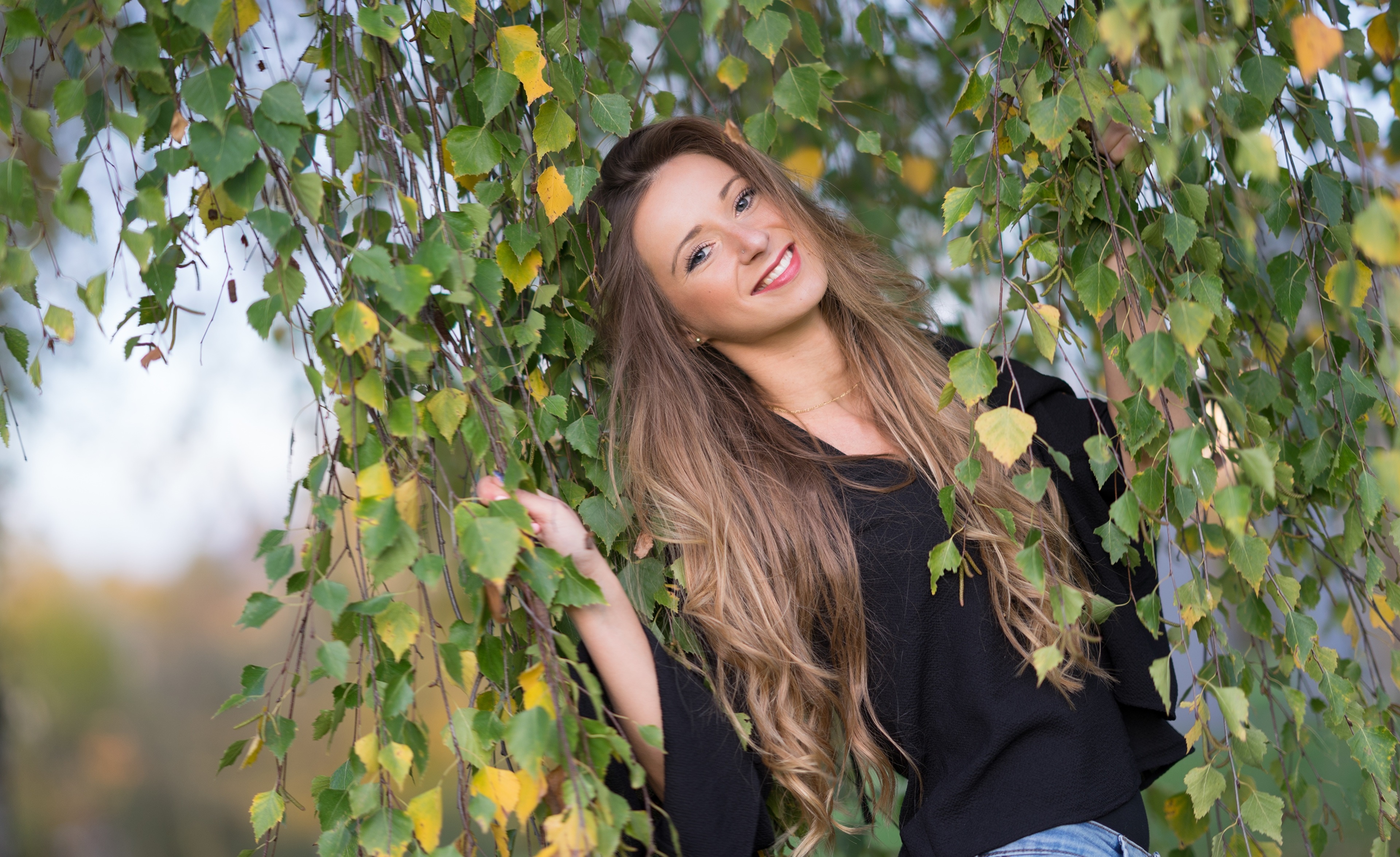 Merima with brown hair among birch branches HD Wallpaper