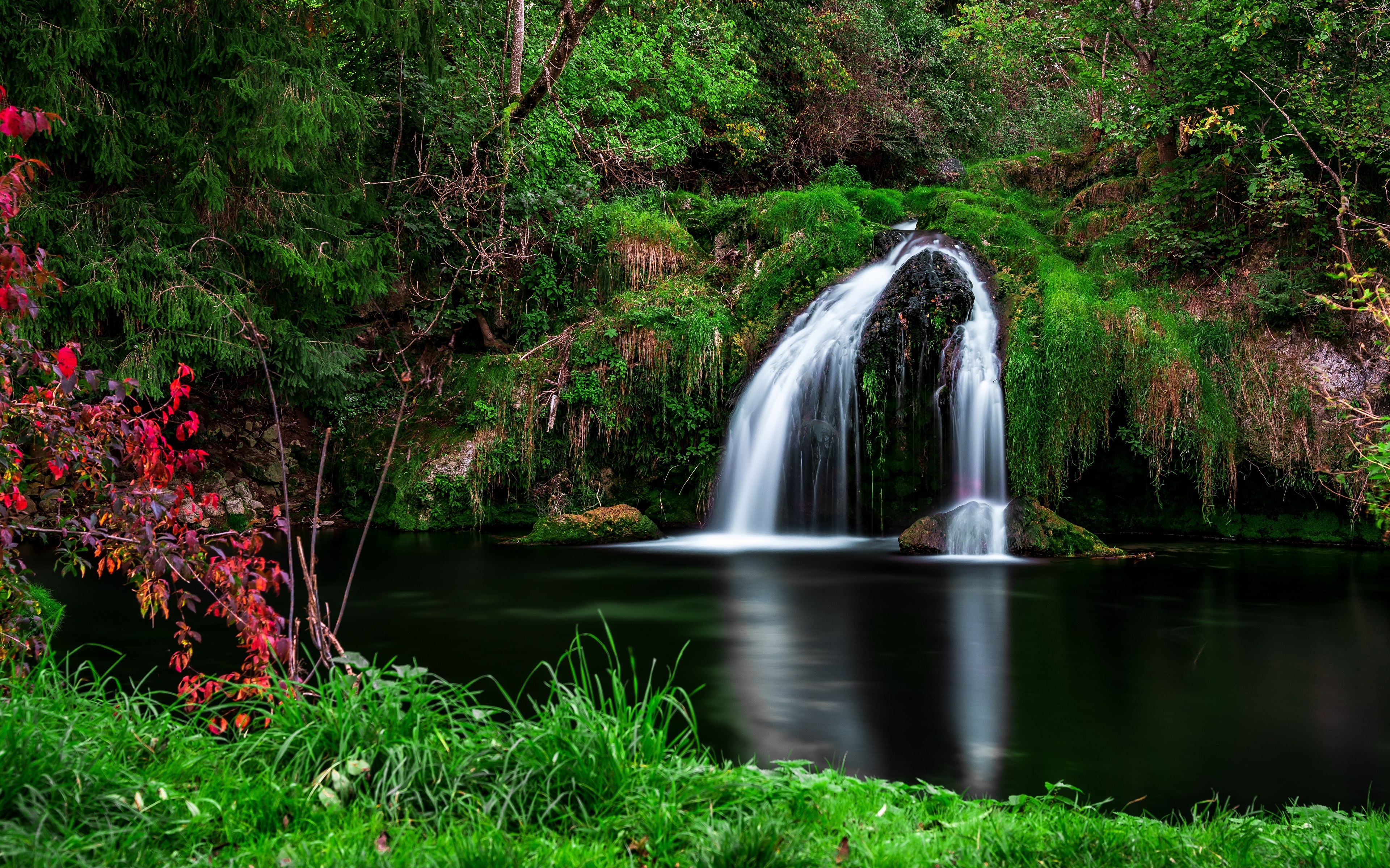Waterfall in a lush green forest with red foliage HD Wallpaper