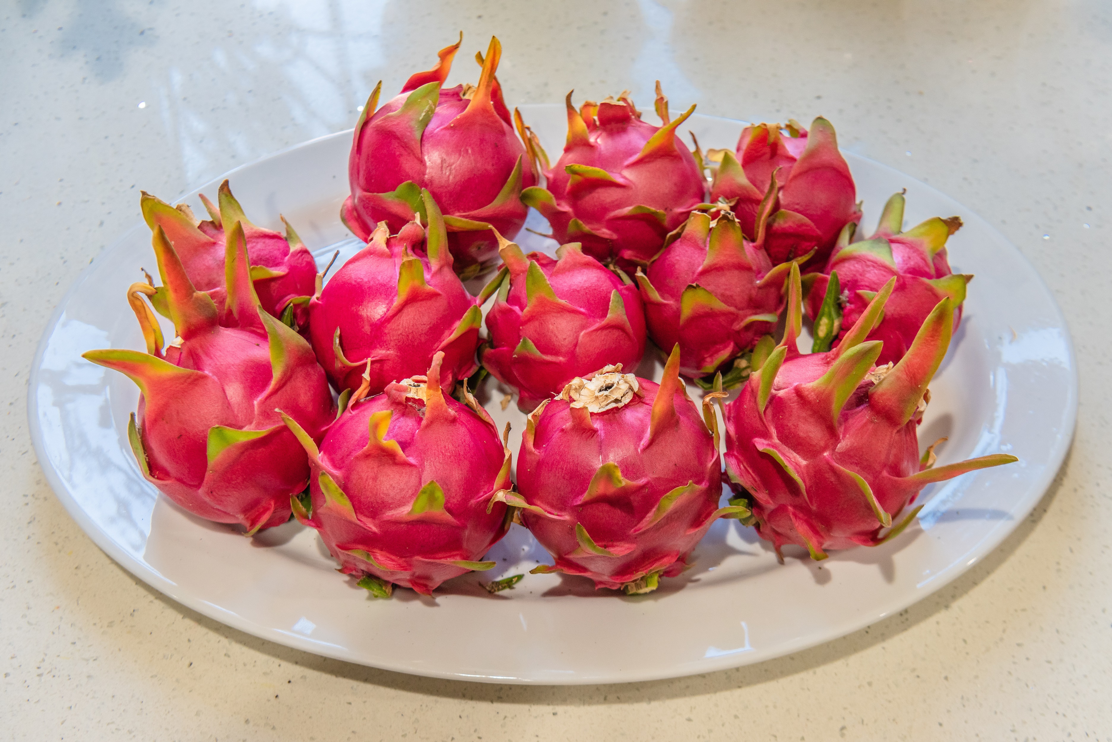 Dragon fruit on a white plate HD Wallpaper