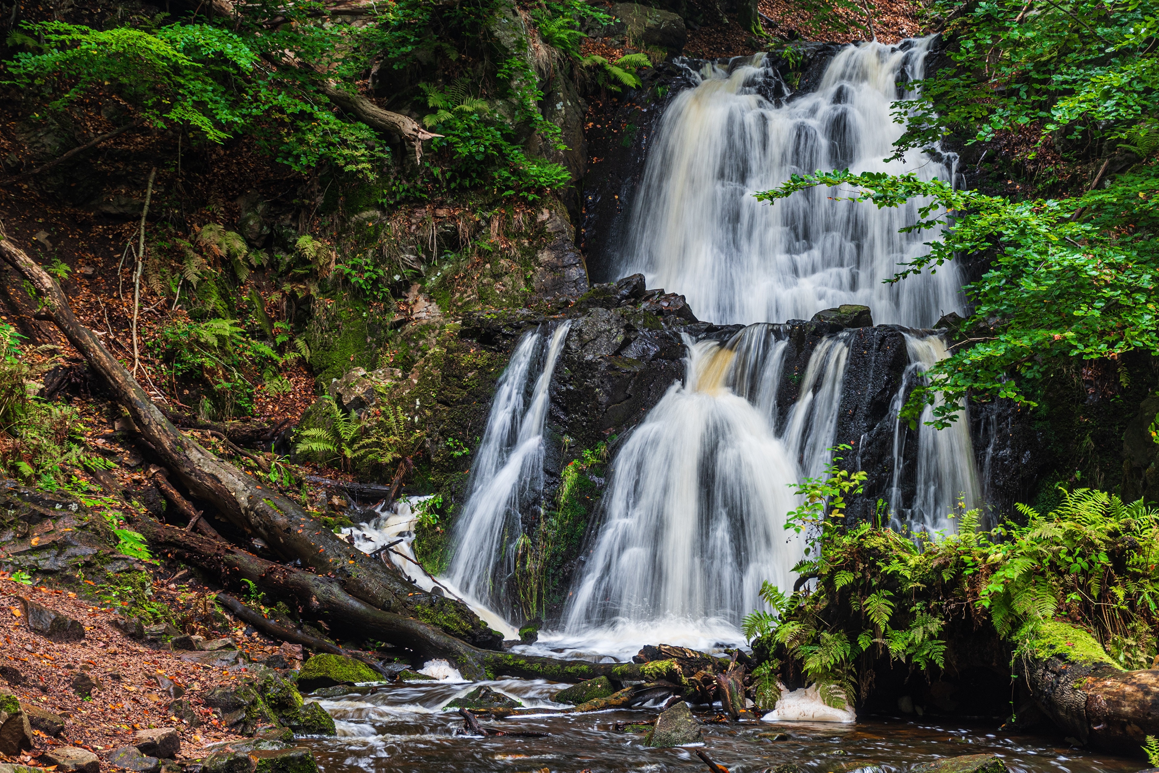 Waterfall cascading over mossy rocks in a forest HD Wallpaper