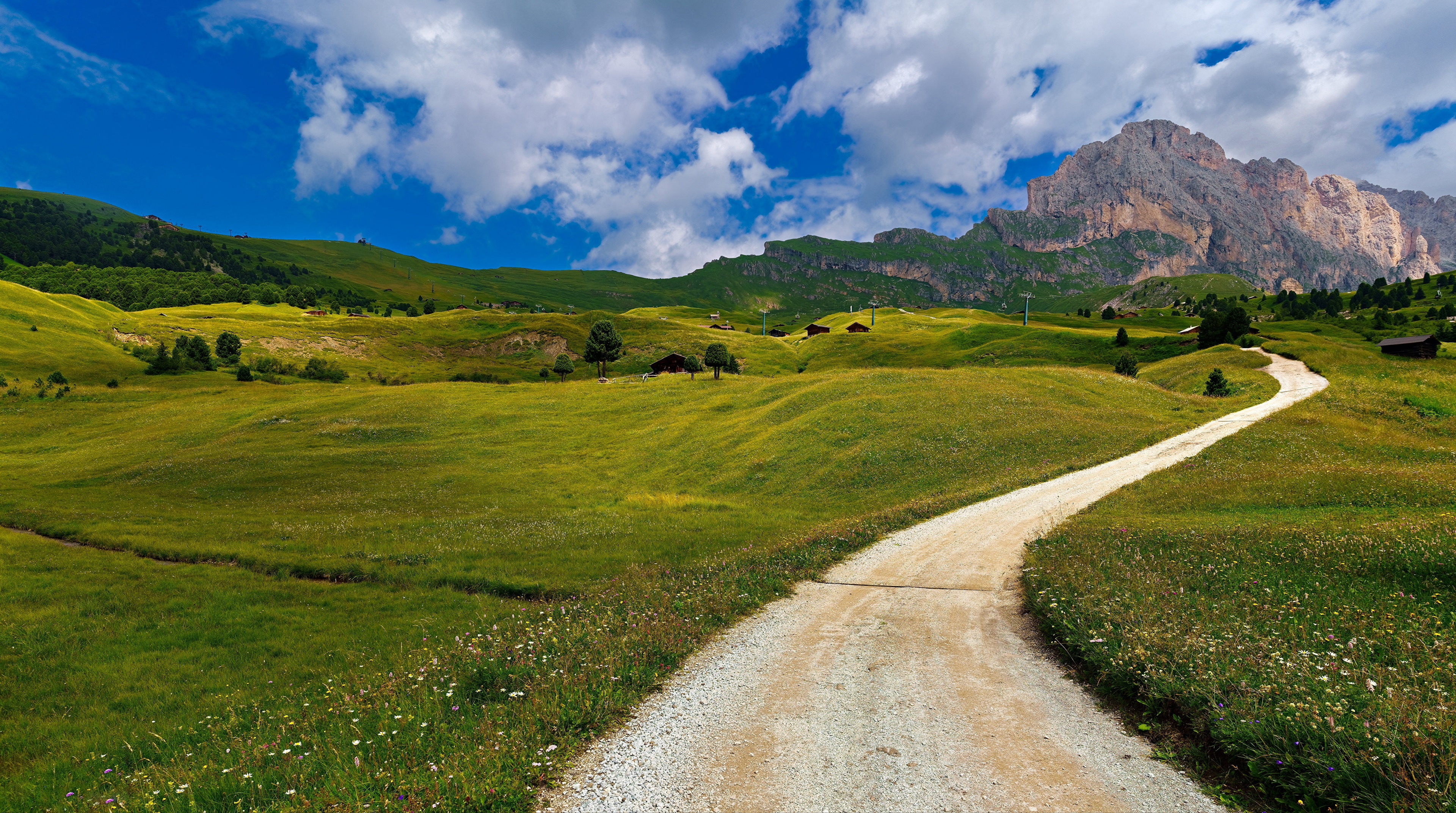 Road through green hills to the Alps in Trentino-Alto Adige, Italy HD Wallpaper
