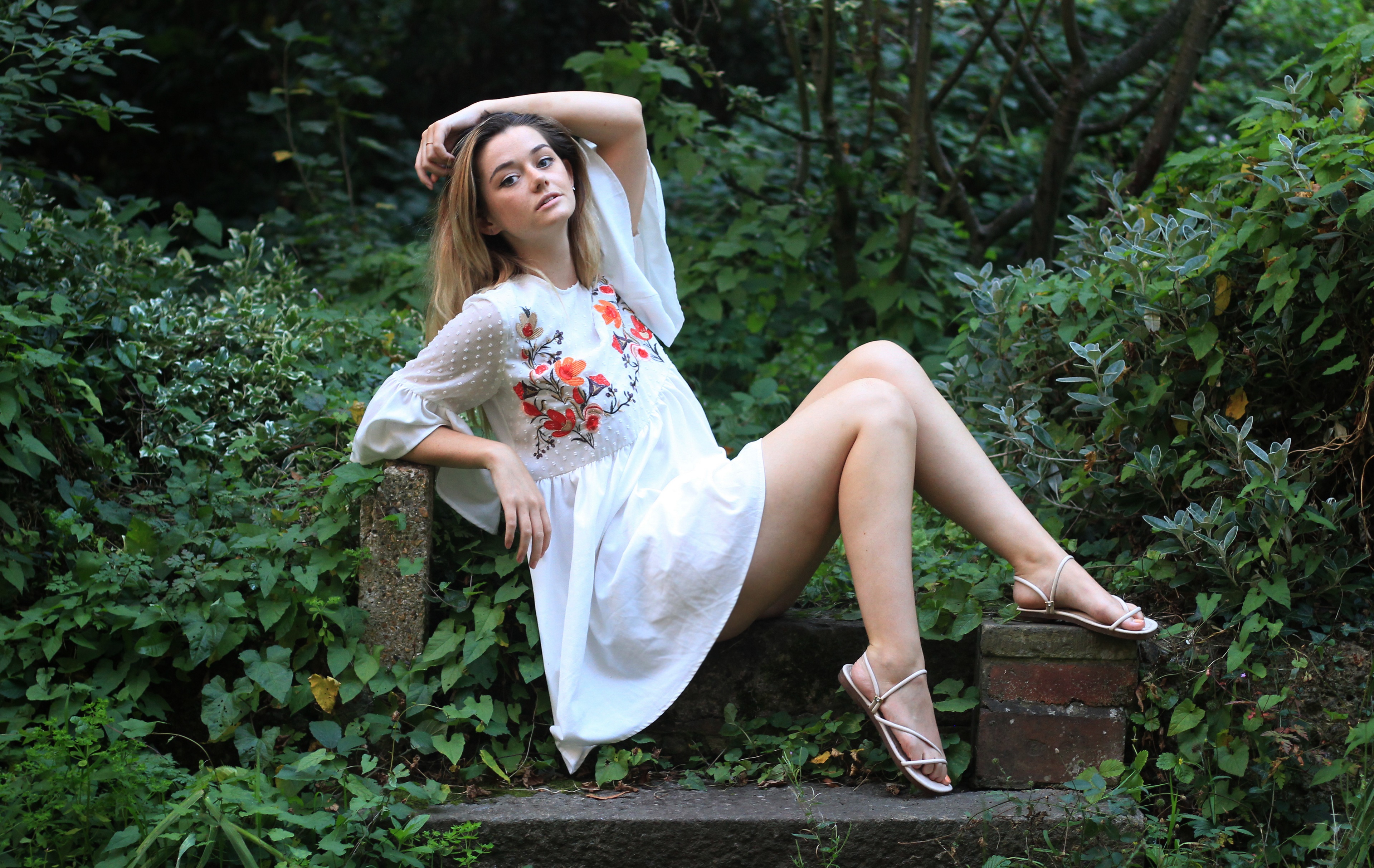 Lizzy sitting in a garden HD Wallpaper