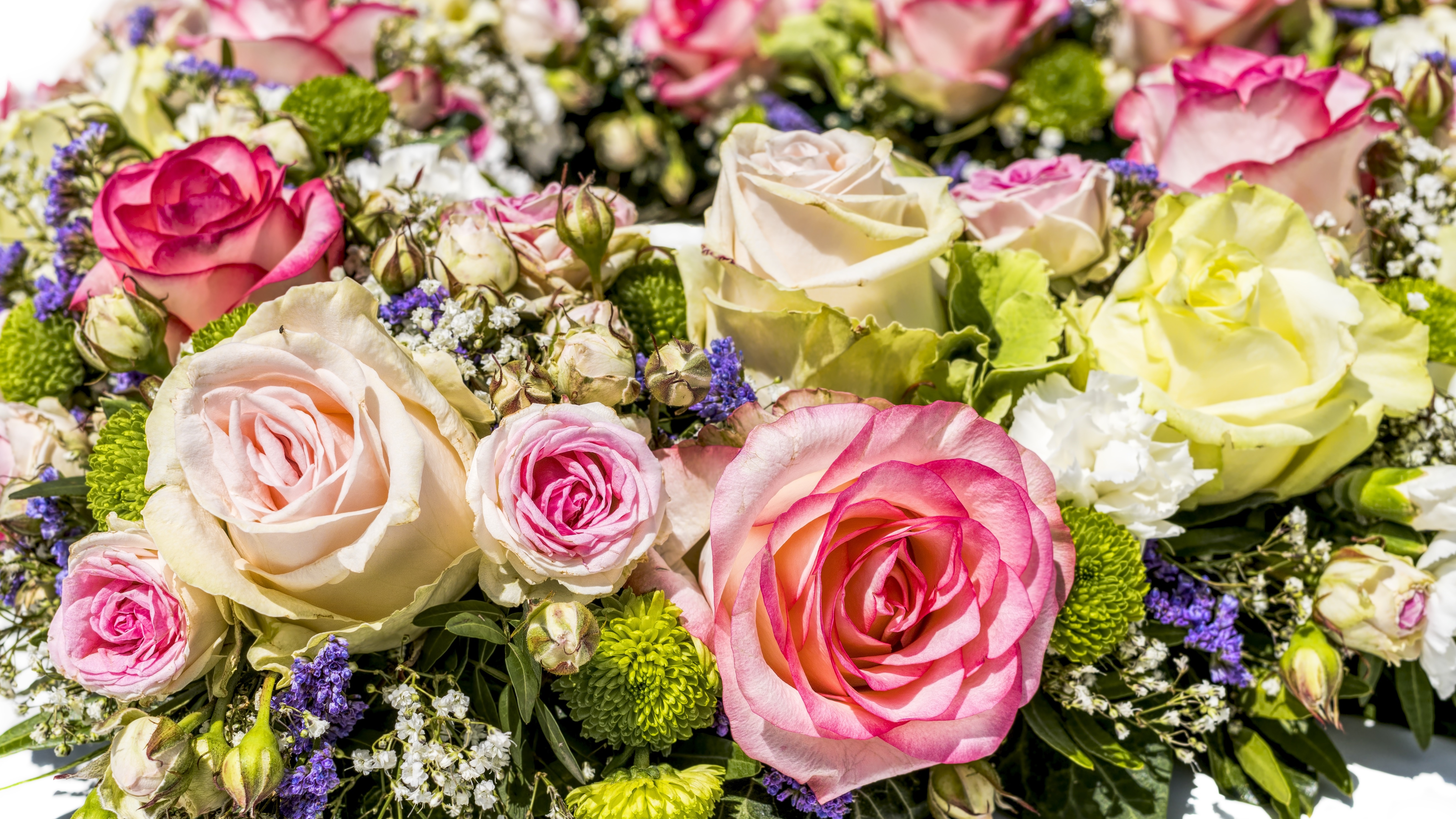 Bouquets of Multicolor Roses HD Wallpaper