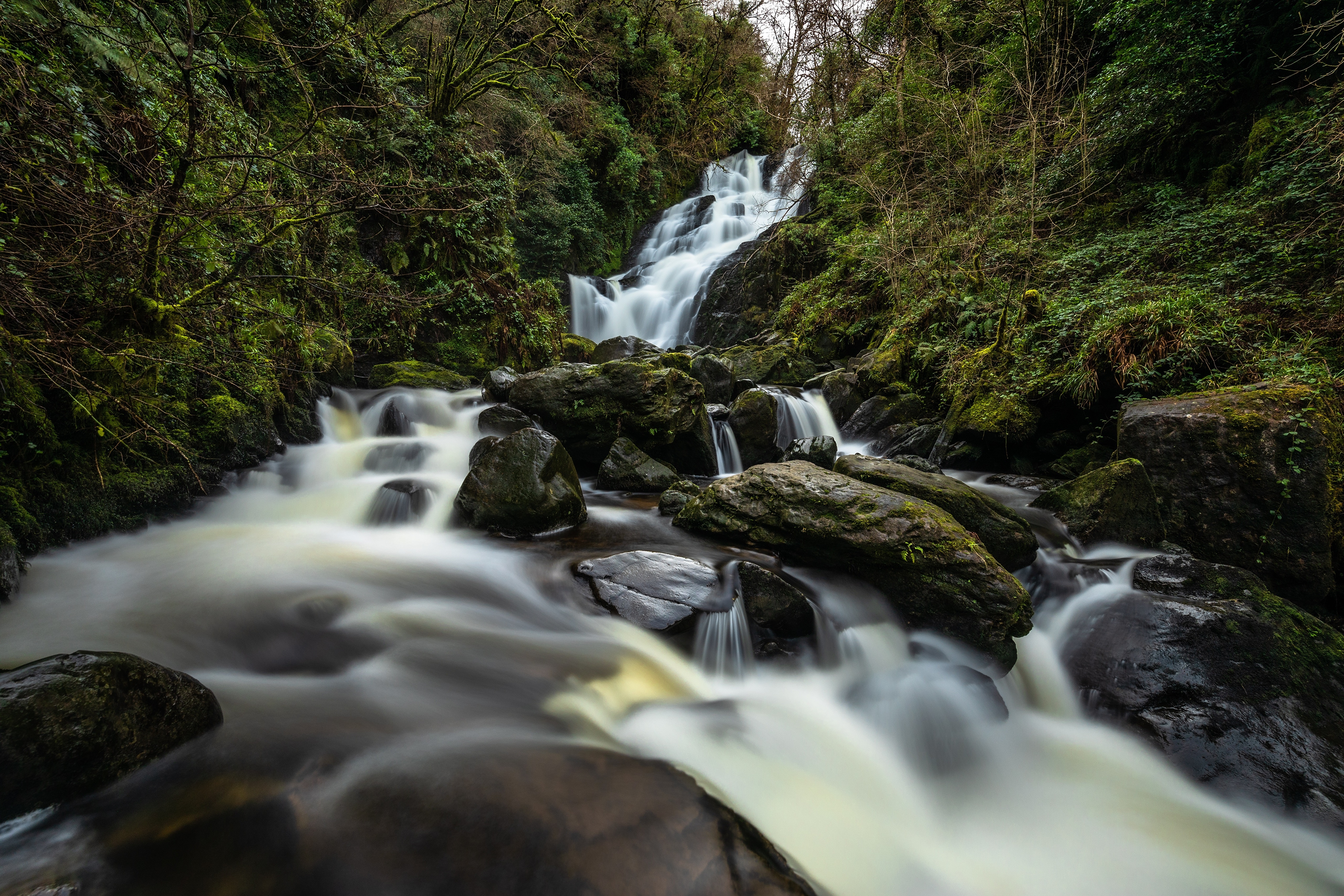 Waterfall cascading over mossy stones in a forest HD Wallpaper