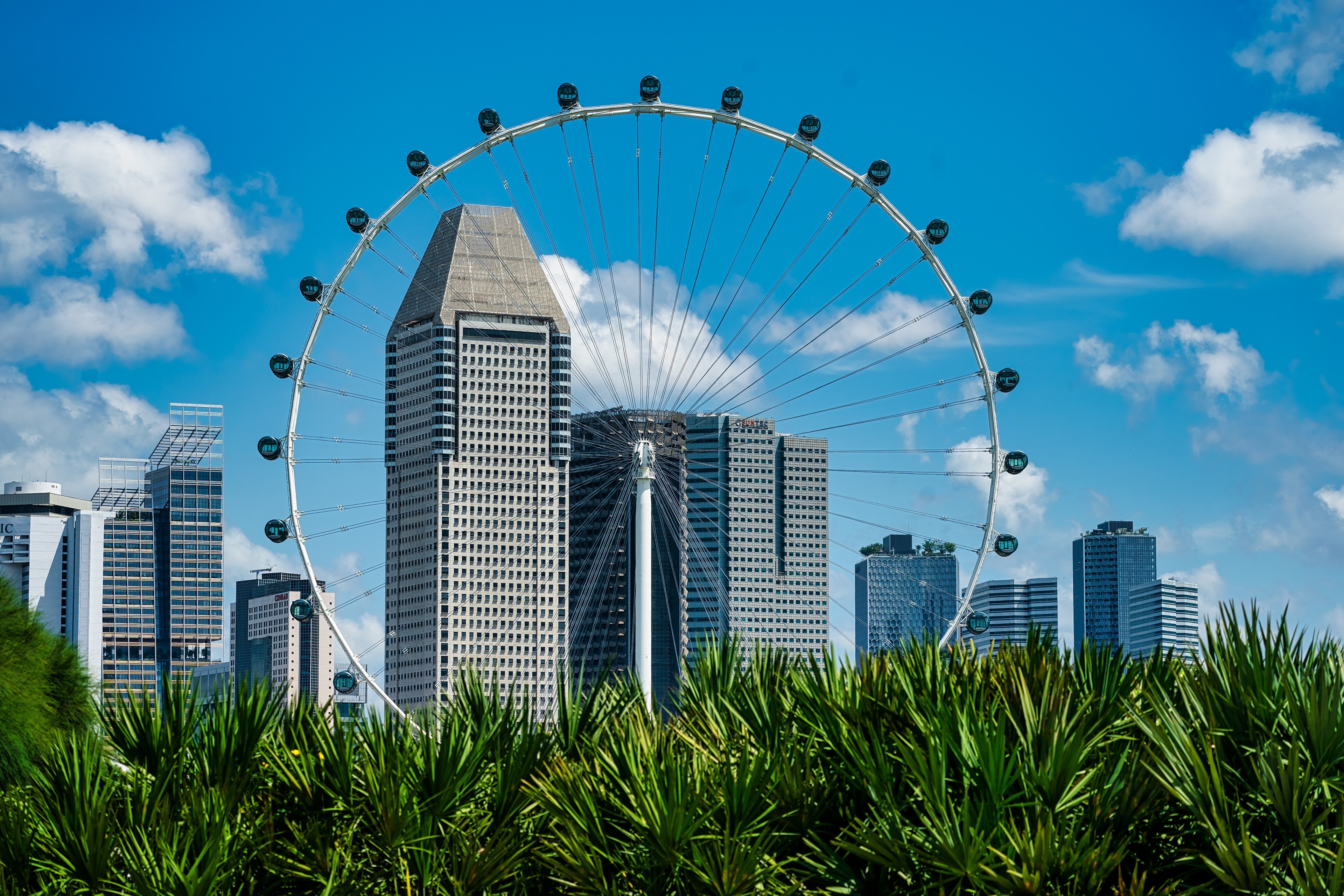 Singapore Flyer and Skyscrapers with Greenery HD Wallpaper