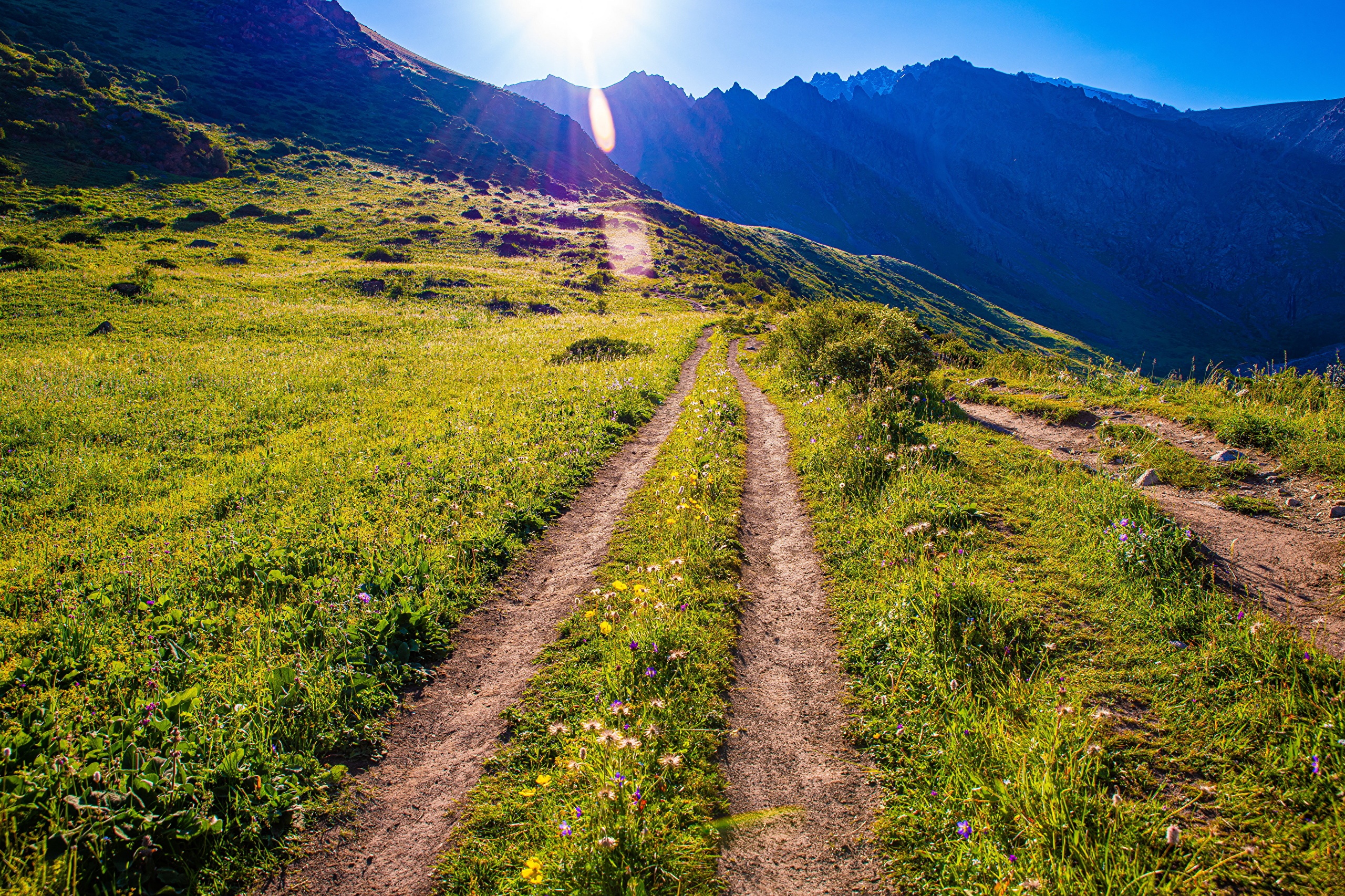 Dirt road through a grassy mountain landscape in Kyrgyzstan HD Wallpaper