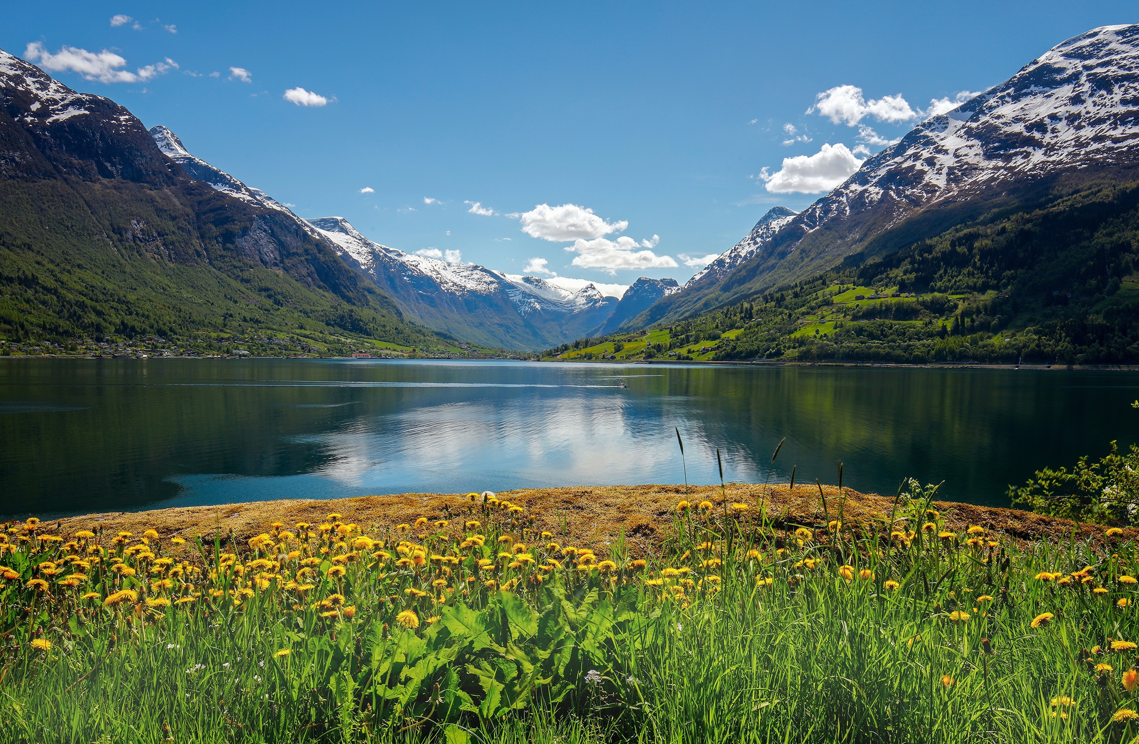 4K Nordfjord Norway Mountains Summer Dandelions Fjord HD Wallpaper