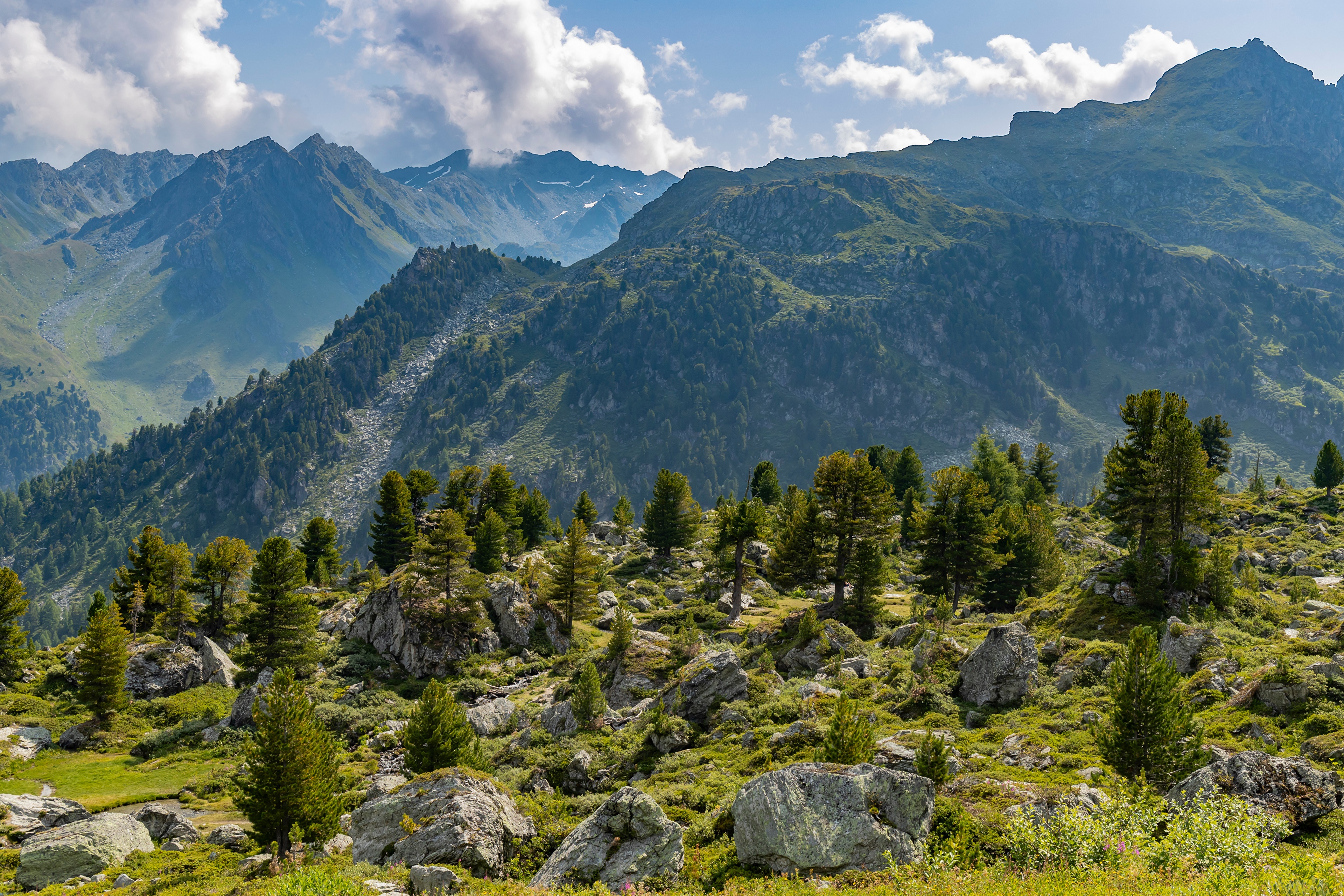 Mountains and Trees in the Alps HD Wallpaper
