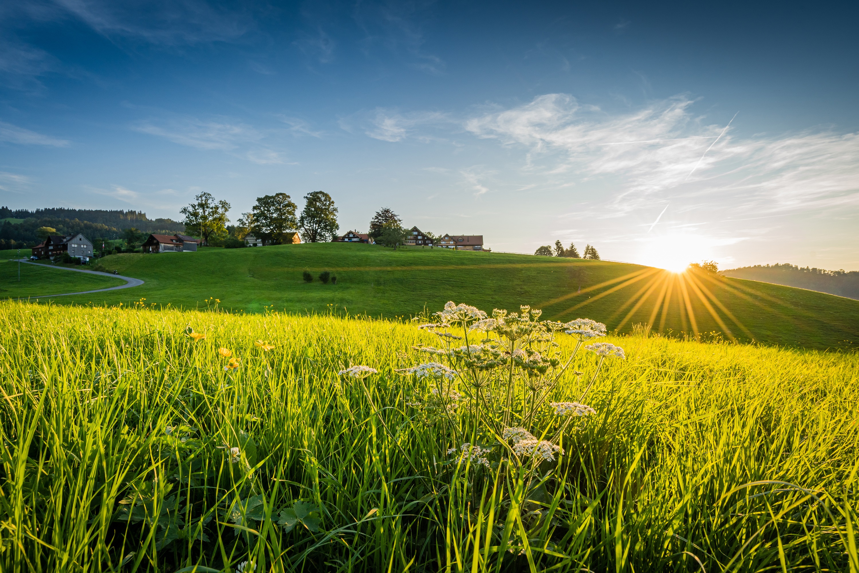 Linner Linde, Switzerland: Sunset over green fields with houses HD Wallpaper