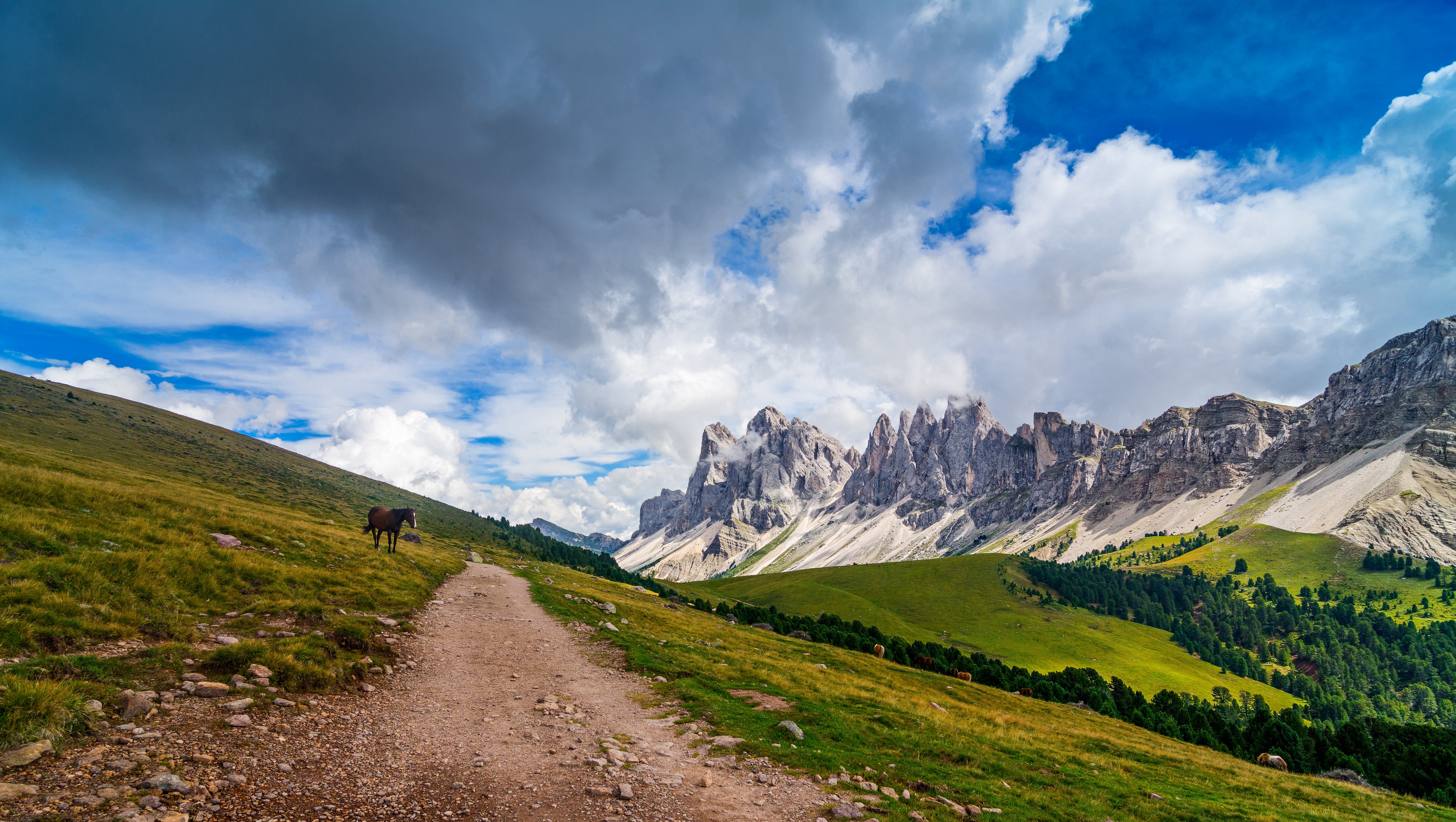 Horse on a mountain path in Puez-Geisler Nature Park, Italy HD Wallpaper