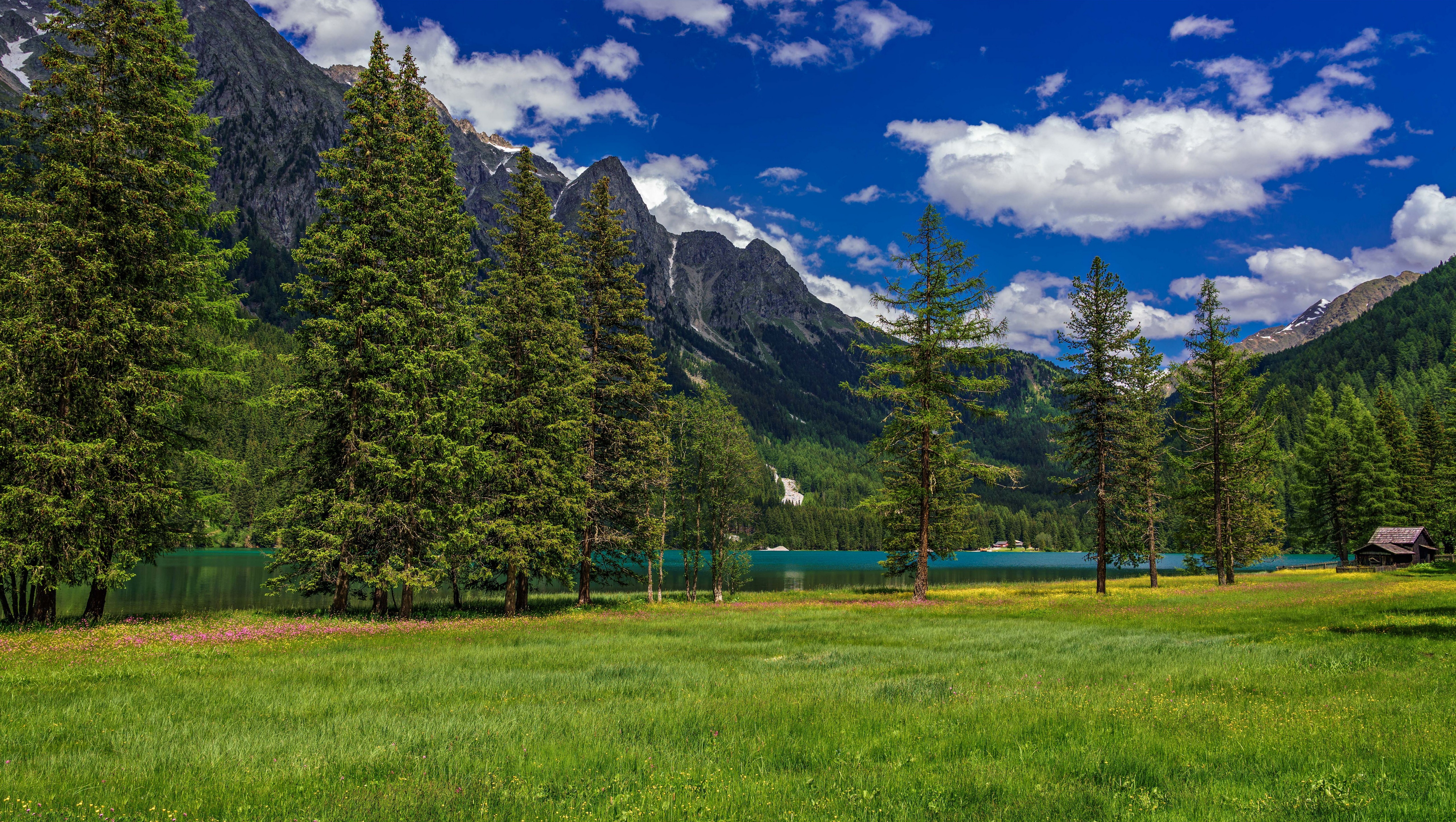 Lake Anterselva in the Italian Alps with Mountains and Trees HD Wallpaper