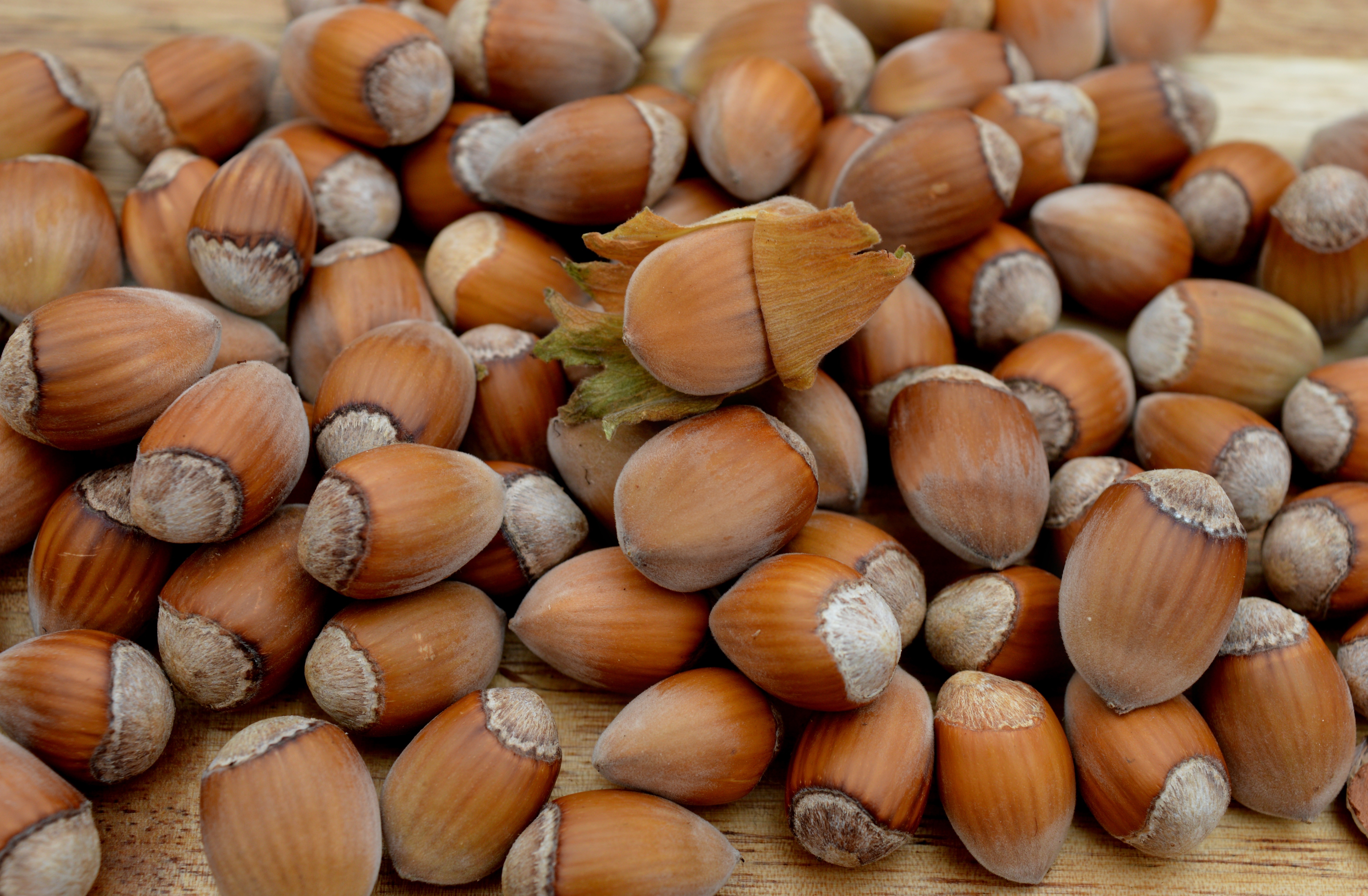 Many Hazelnuts HD Wallpaper