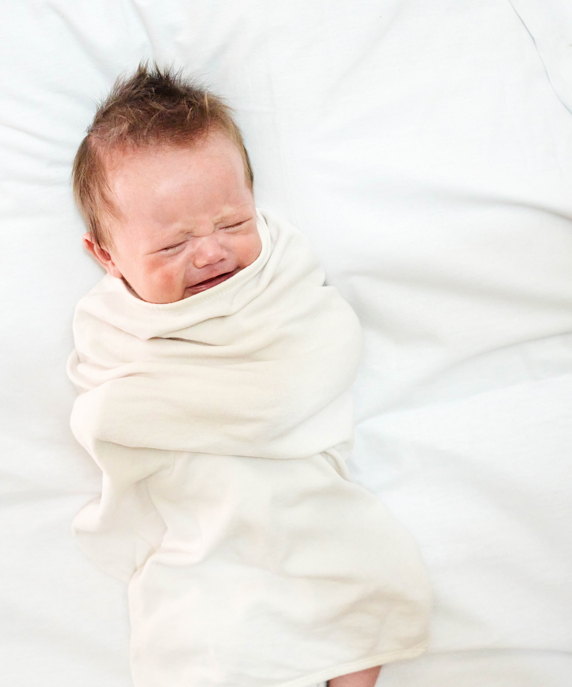 Newborn baby wrapped in a swaddle HD Wallpaper