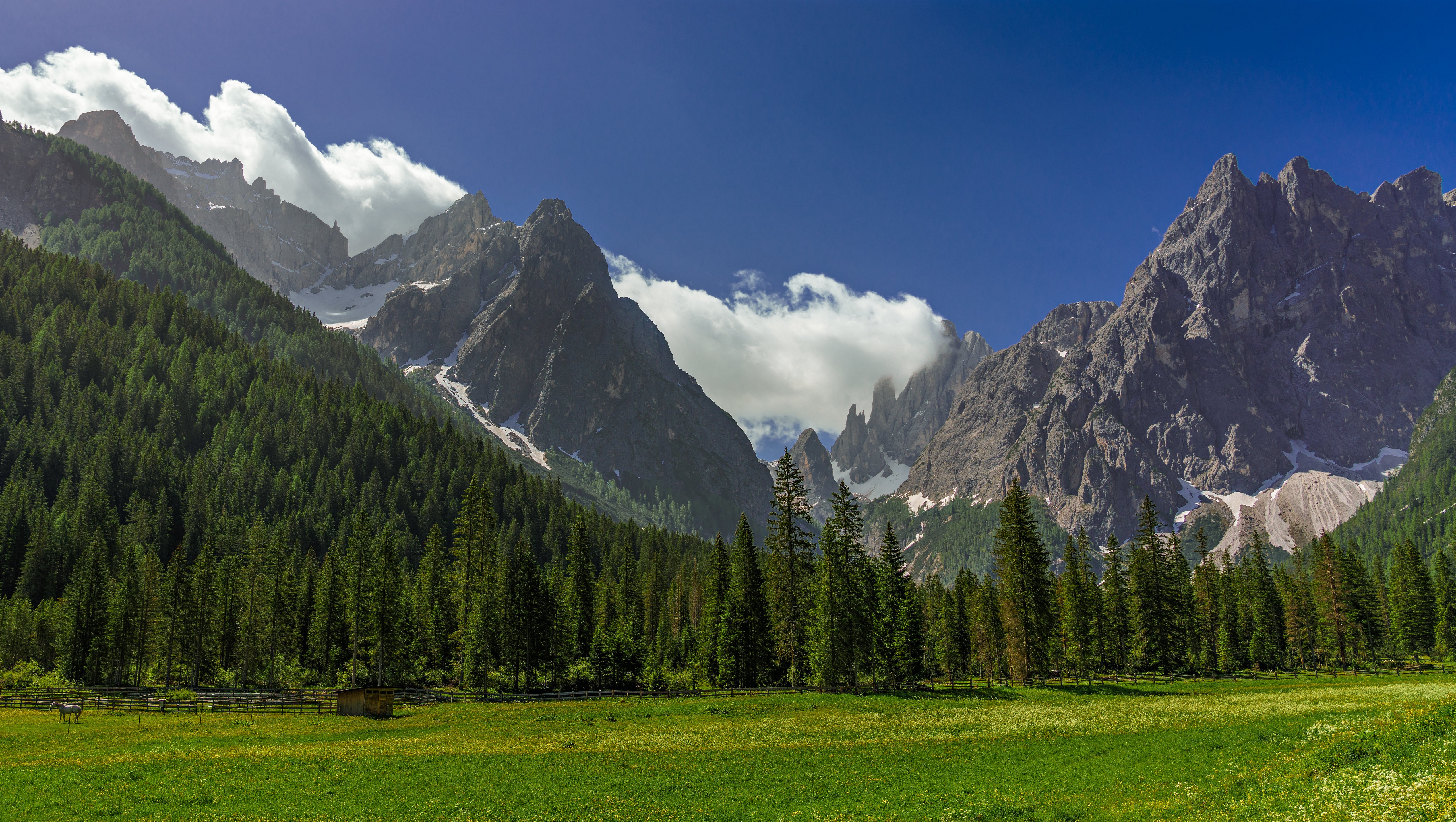 Mountains and Forest in Trentino-Alto Adige, Italy HD Wallpaper