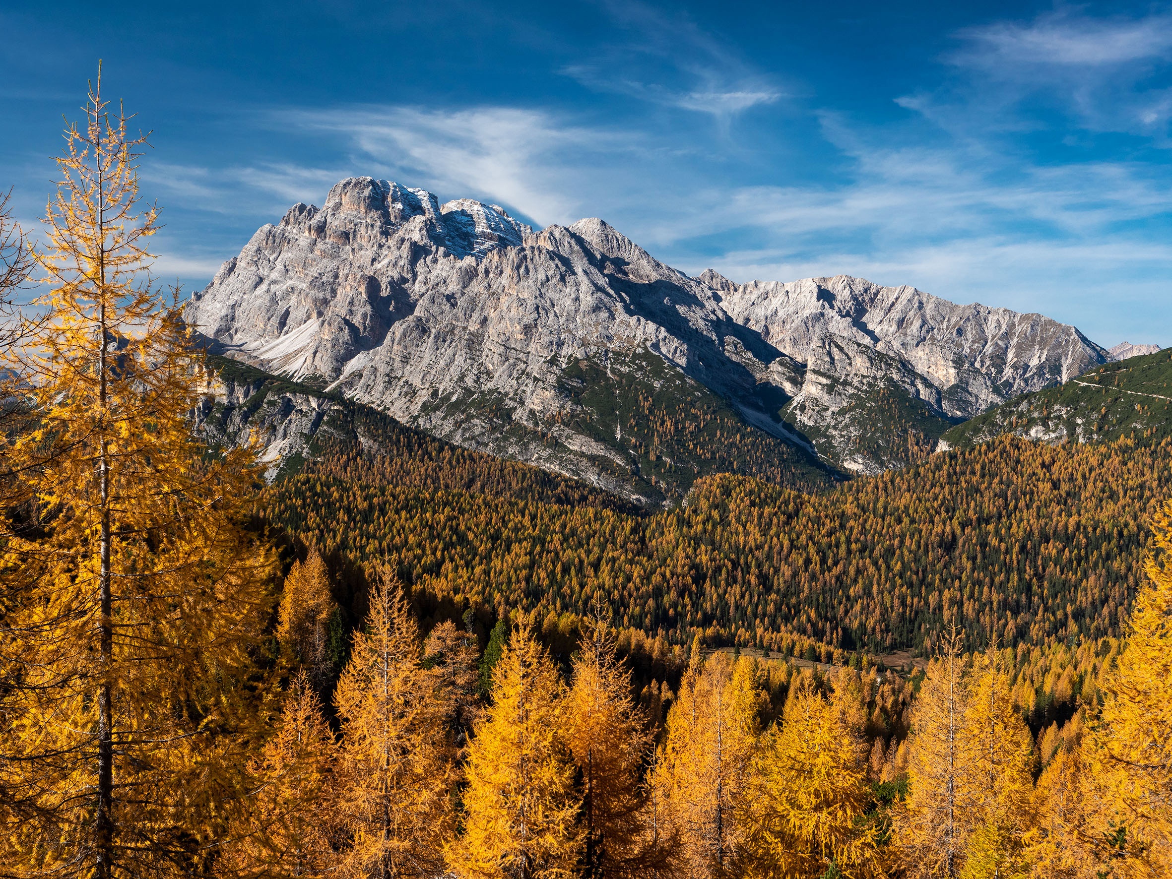 Autumn forest and mountains in the Alps HD Wallpaper