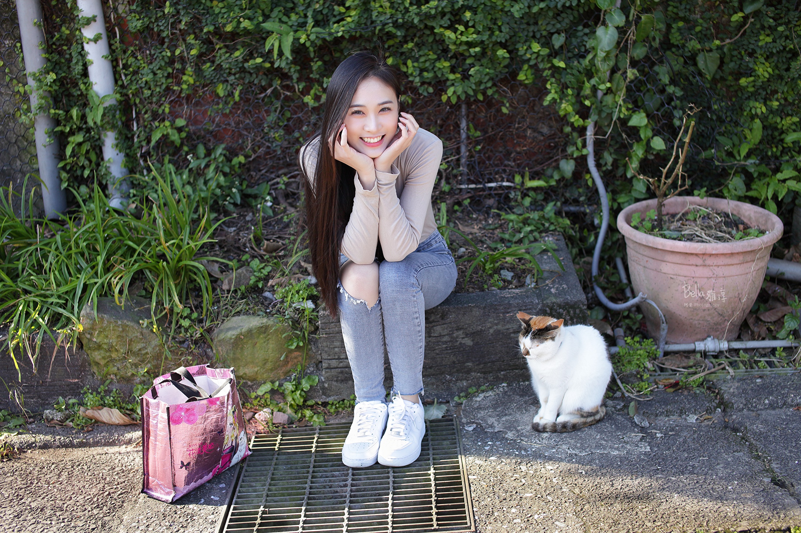 Asian girl sitting with a cat and handbag HD Wallpaper