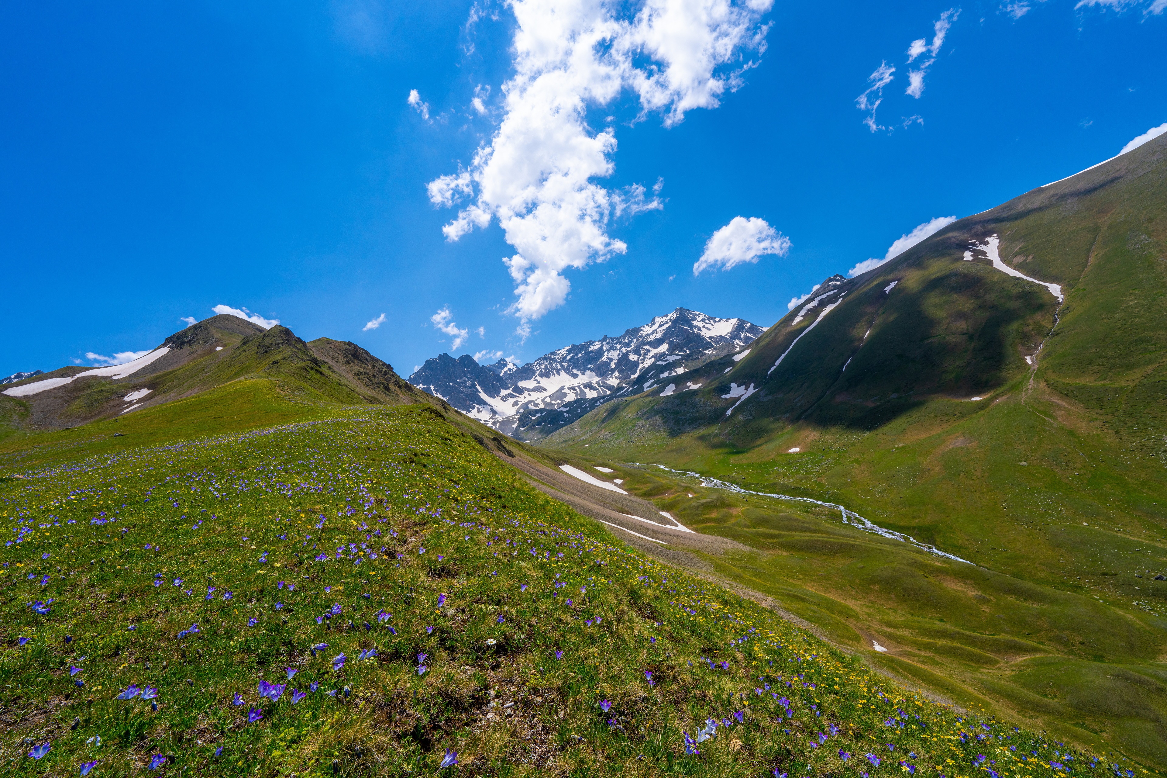 Teberda National Park, Russia, Mountains and Flowers HD Wallpaper