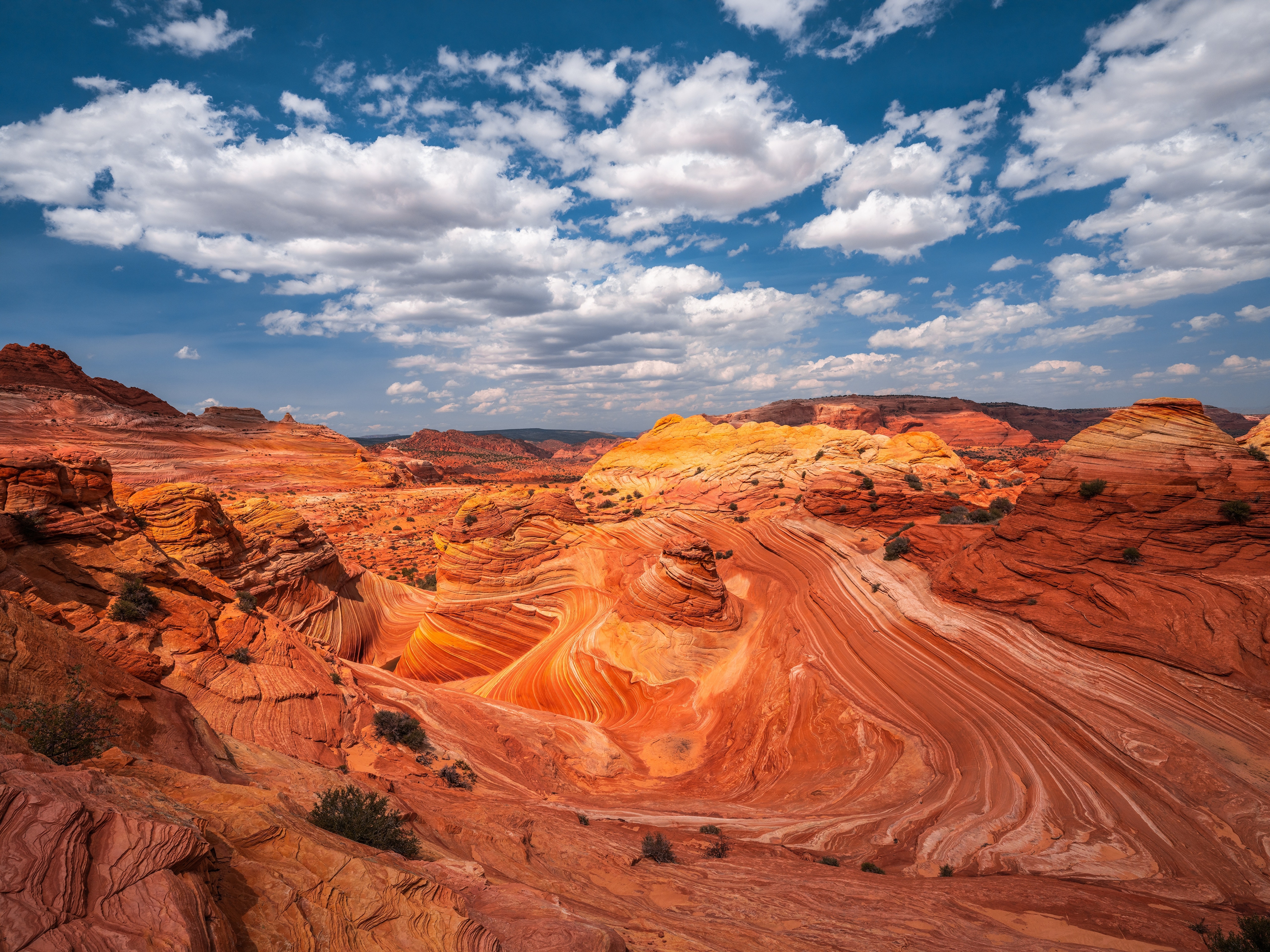 The Wave, Pariah Marble Canyon, Arizona, USA HD Wallpaper