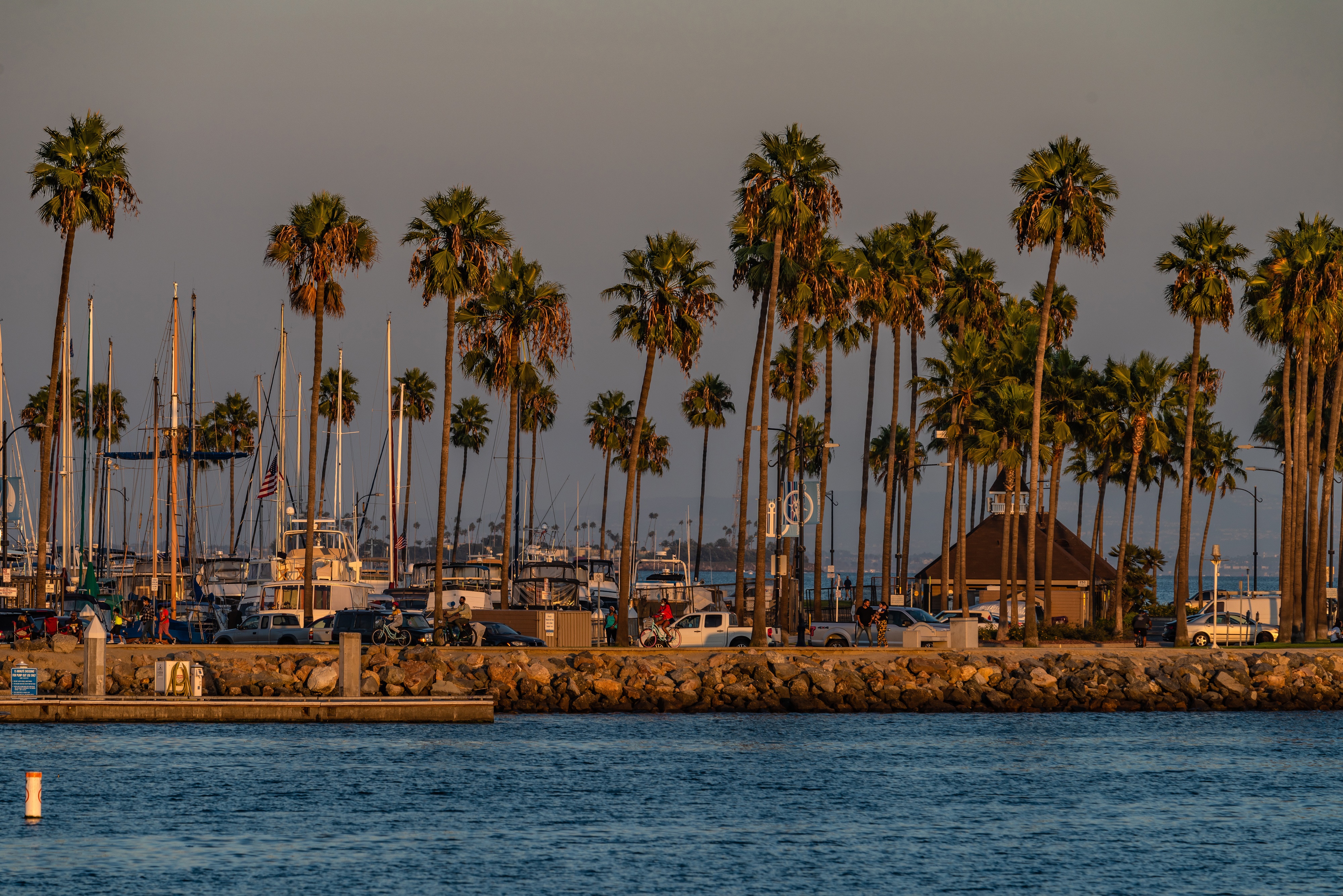 Shoreline Village Long Beach Marinas with Palm Trees HD Wallpaper