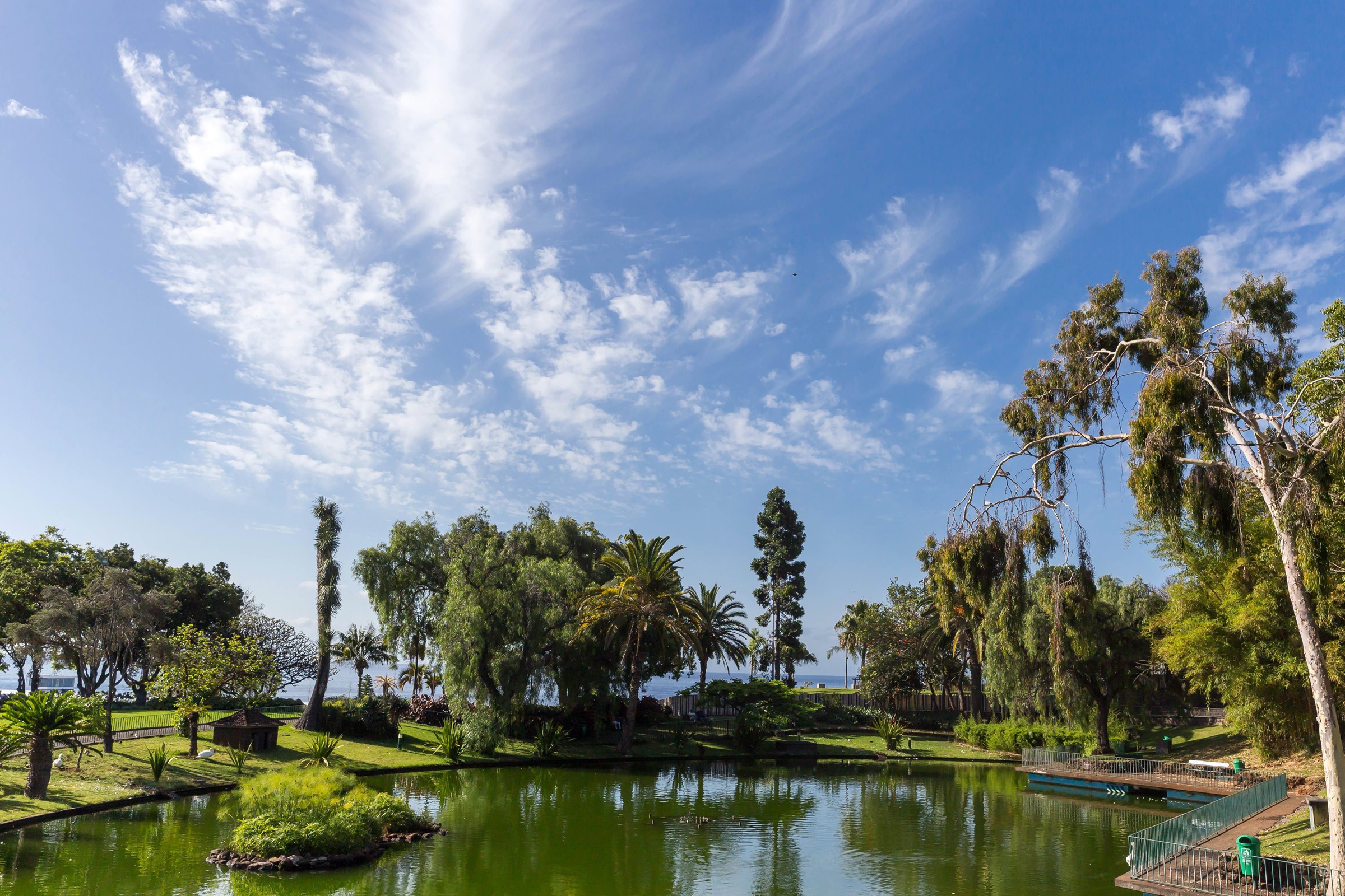 Santa Catarina Park Pond with Trees and Sky HD Wallpaper