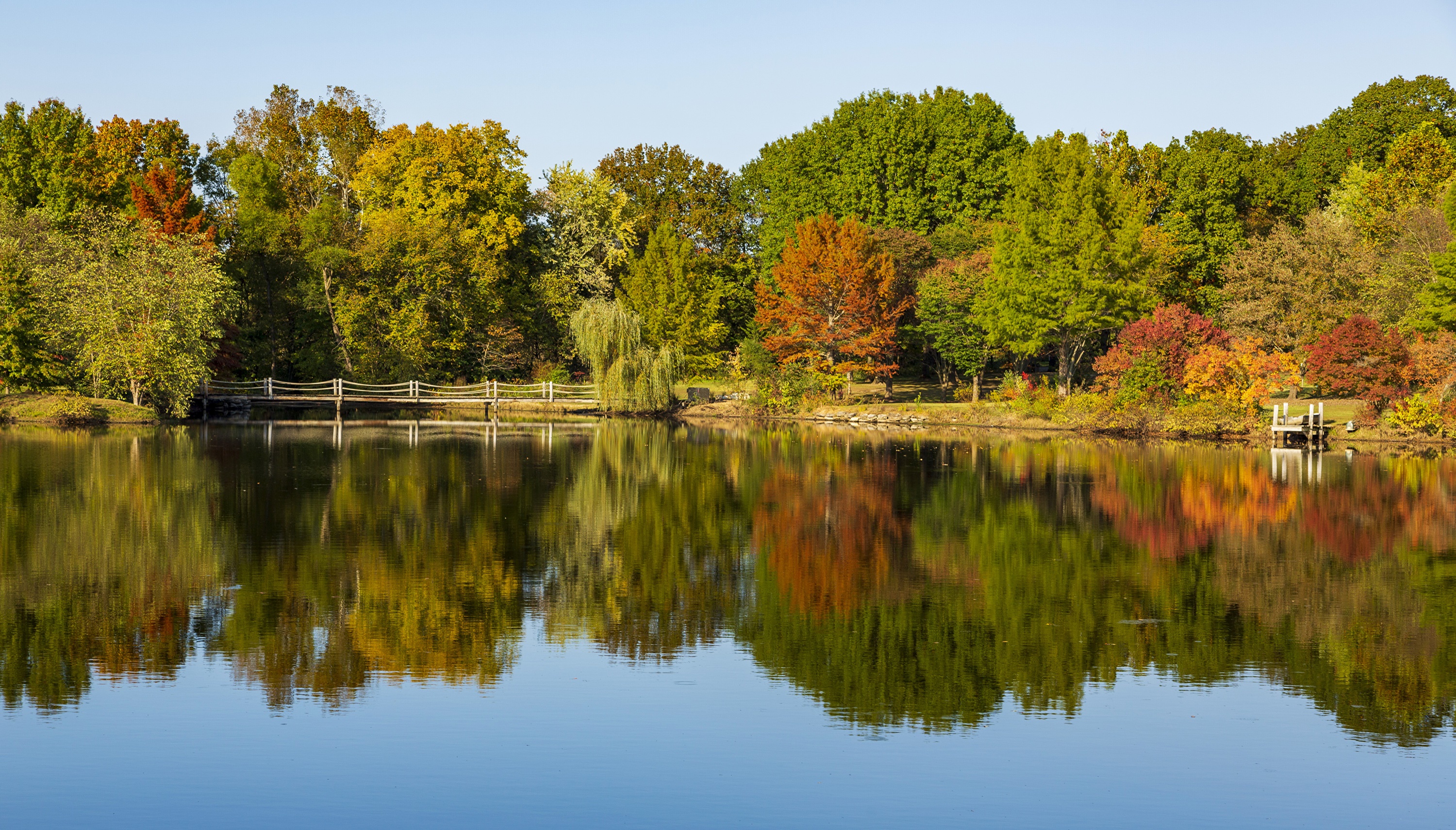Autumn trees reflected in a lake with a bridge HD Wallpaper