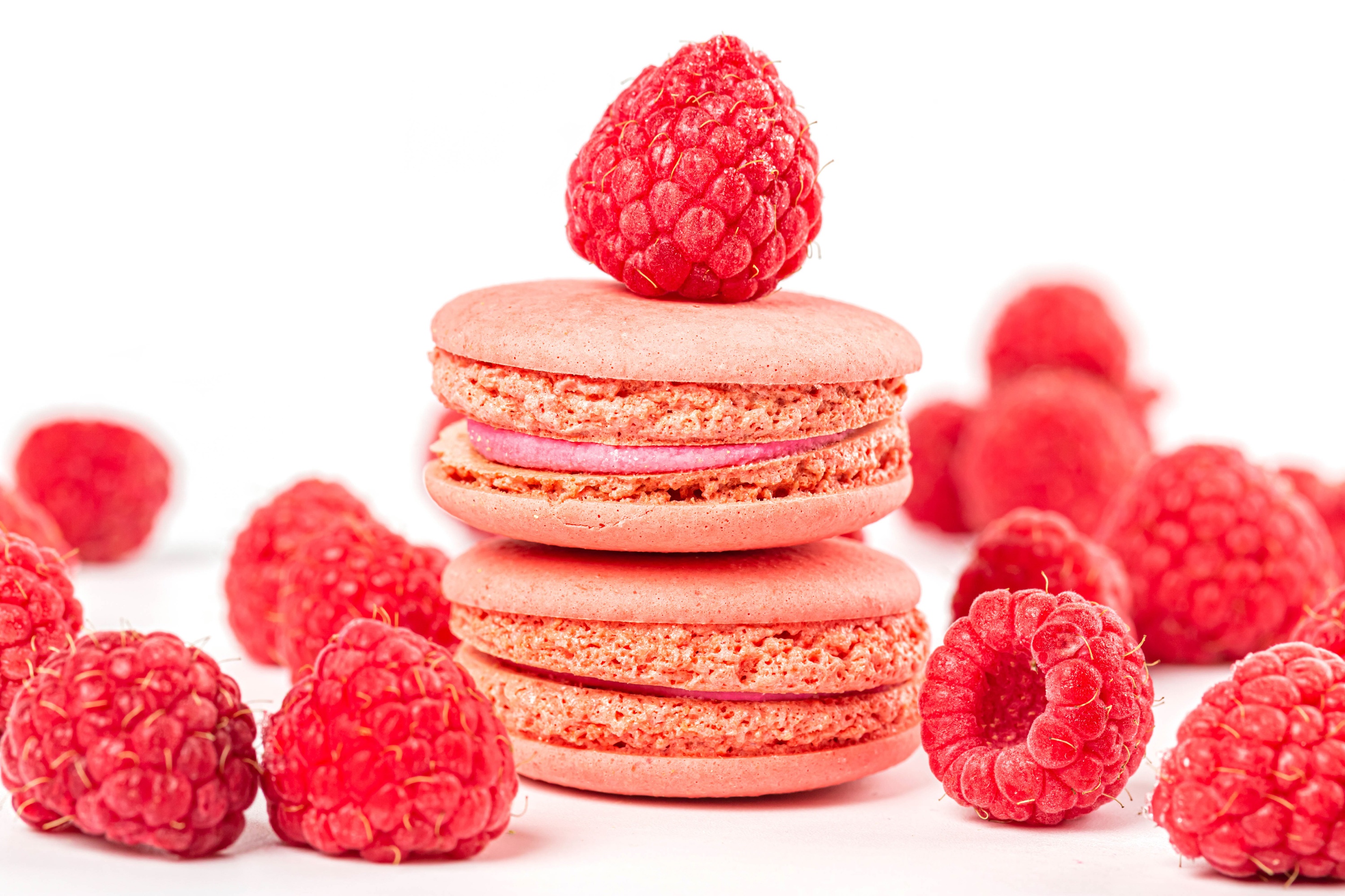 Pink Raspberry Macarons with Fresh Raspberries HD Wallpaper