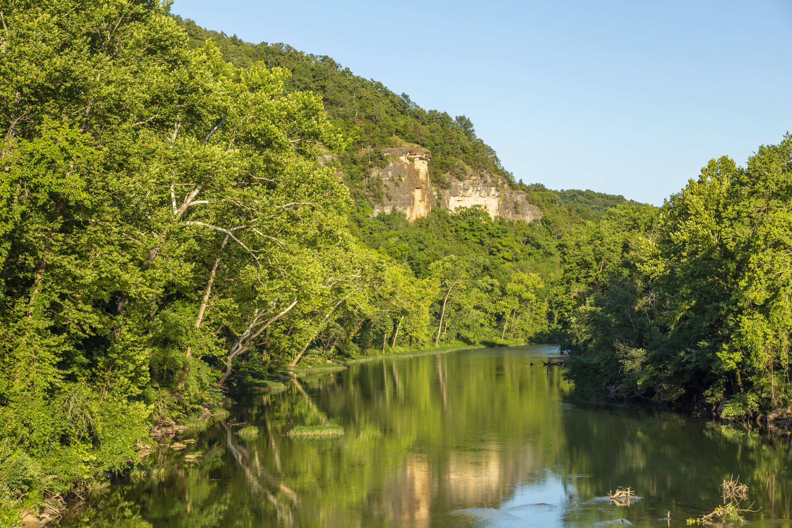 River flowing through a forest with a cliff face HD Wallpaper
