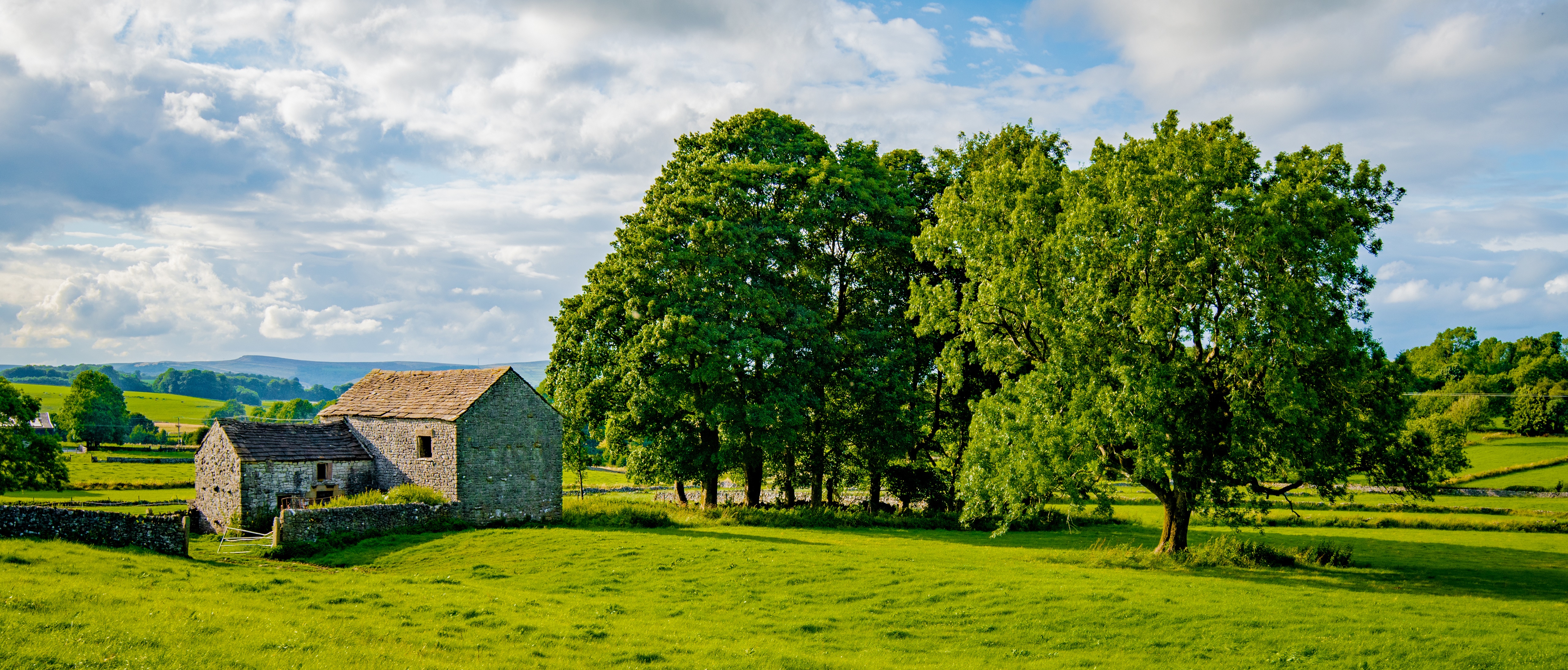 Stone Barns and Trees in Chelmorton, England HD Wallpaper