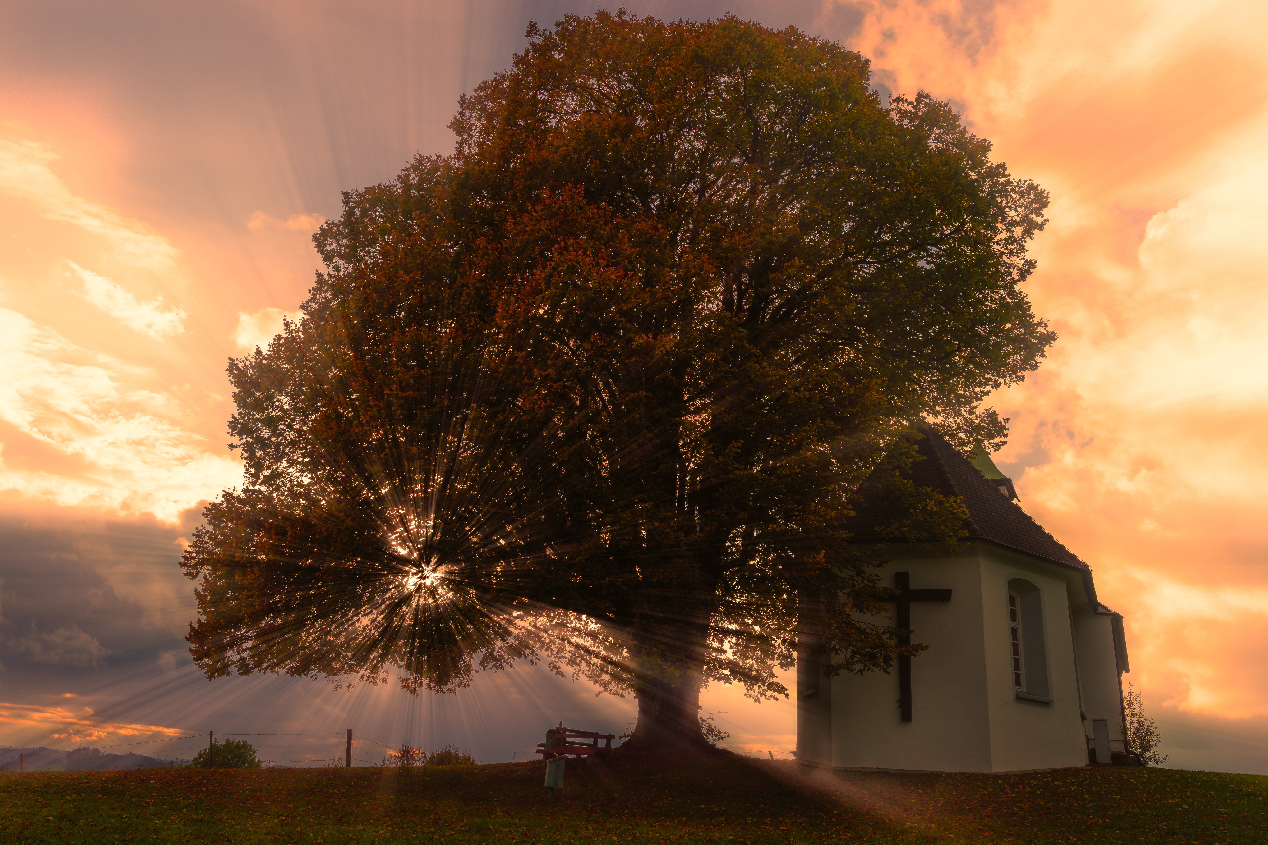 Sunbeams through tree near church at sunset HD Wallpaper