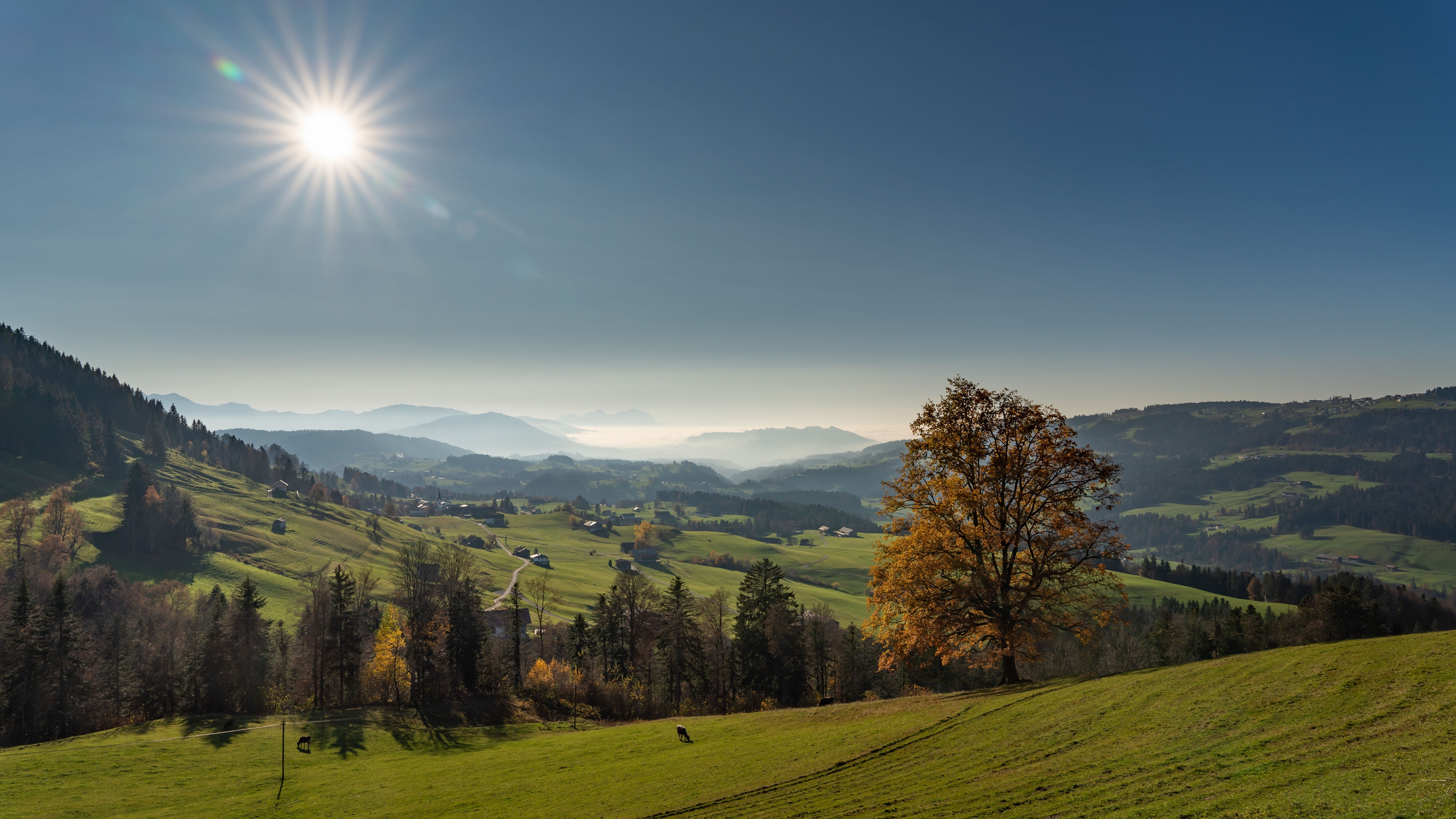 Autumn landscape with sun over rolling hills in Germany HD Wallpaper
