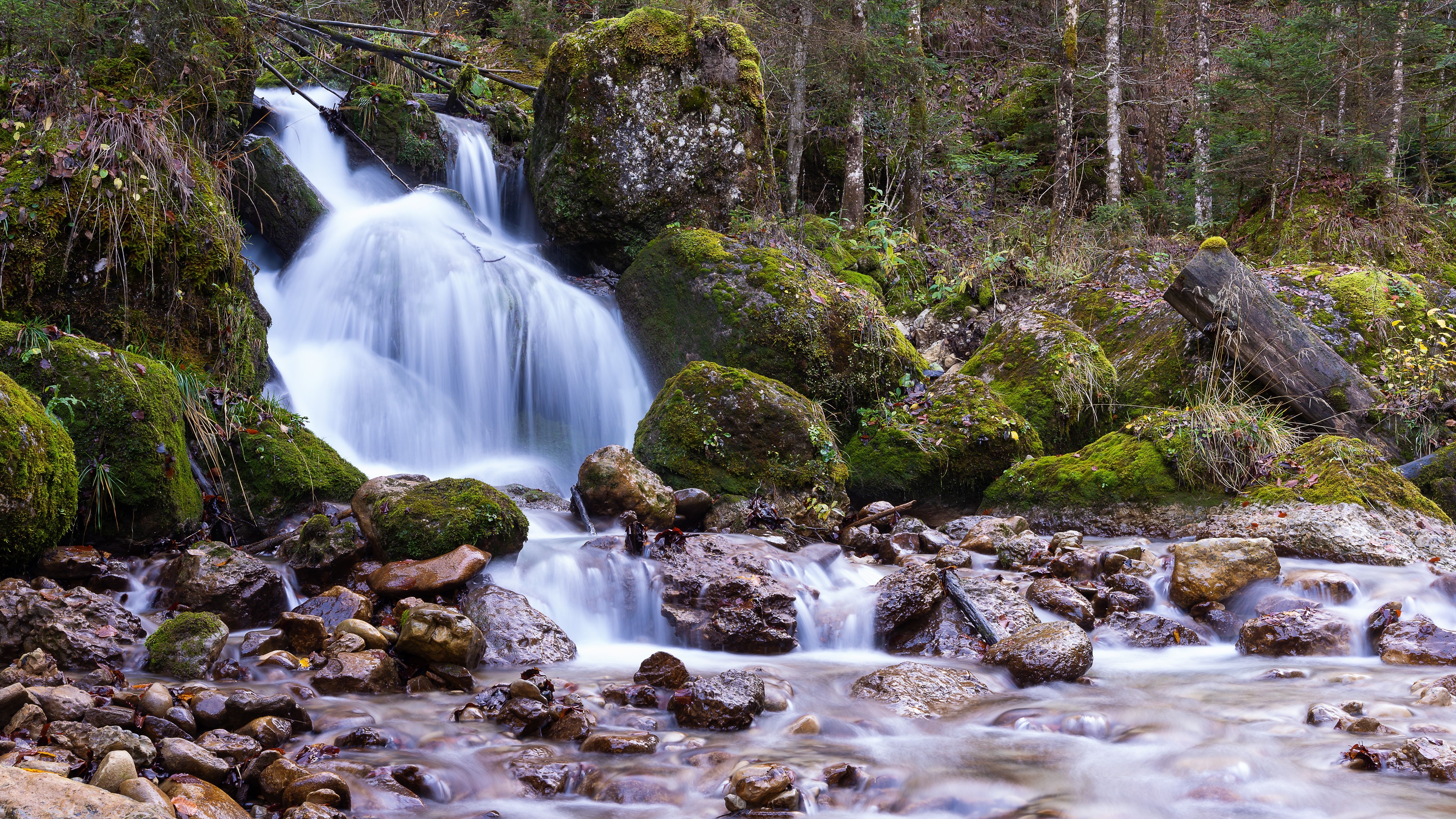 Waterfall cascading over moss-covered rocks in a forest HD Wallpaper