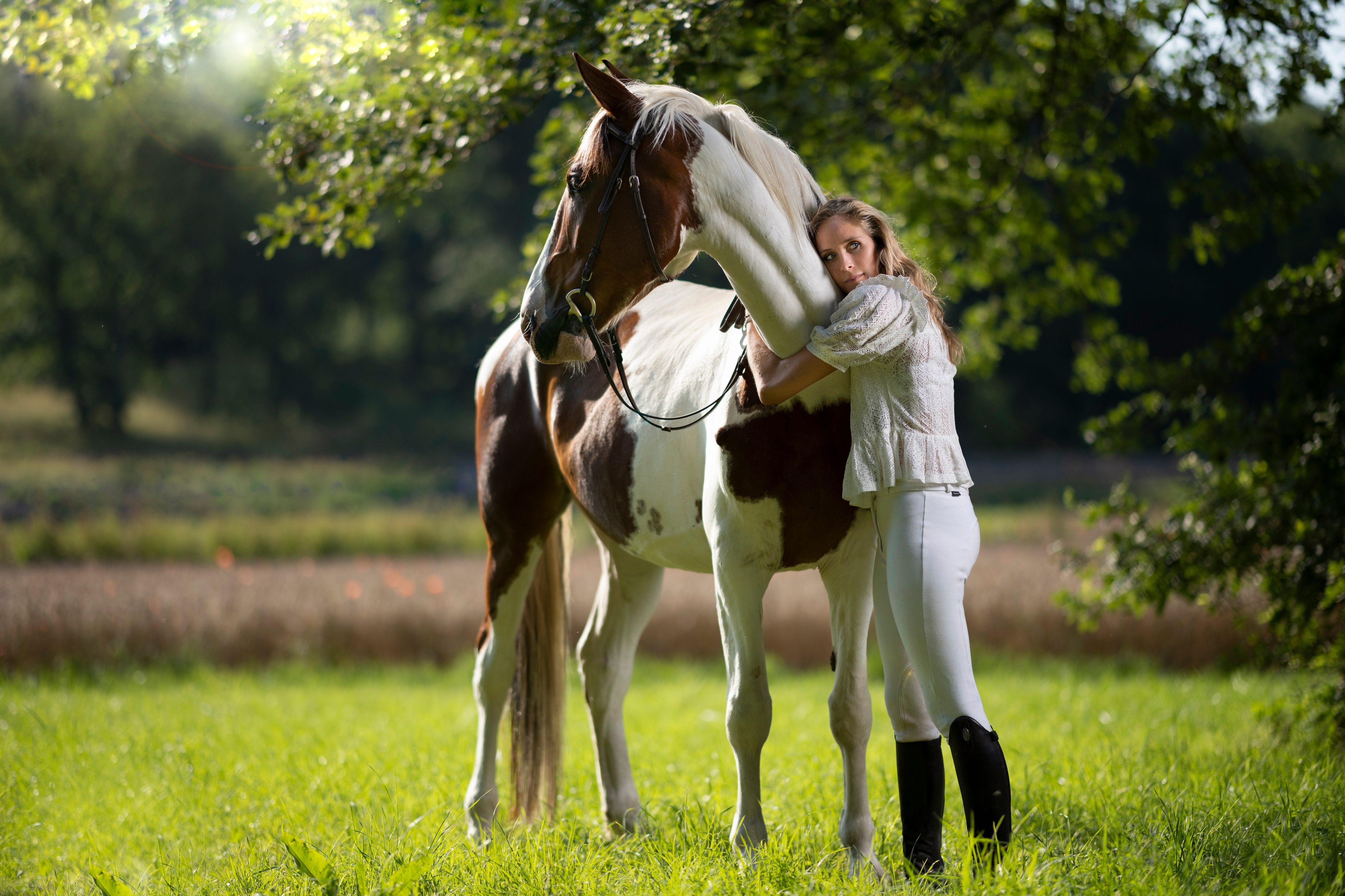 Woman hugging a horse in a field HD Wallpaper