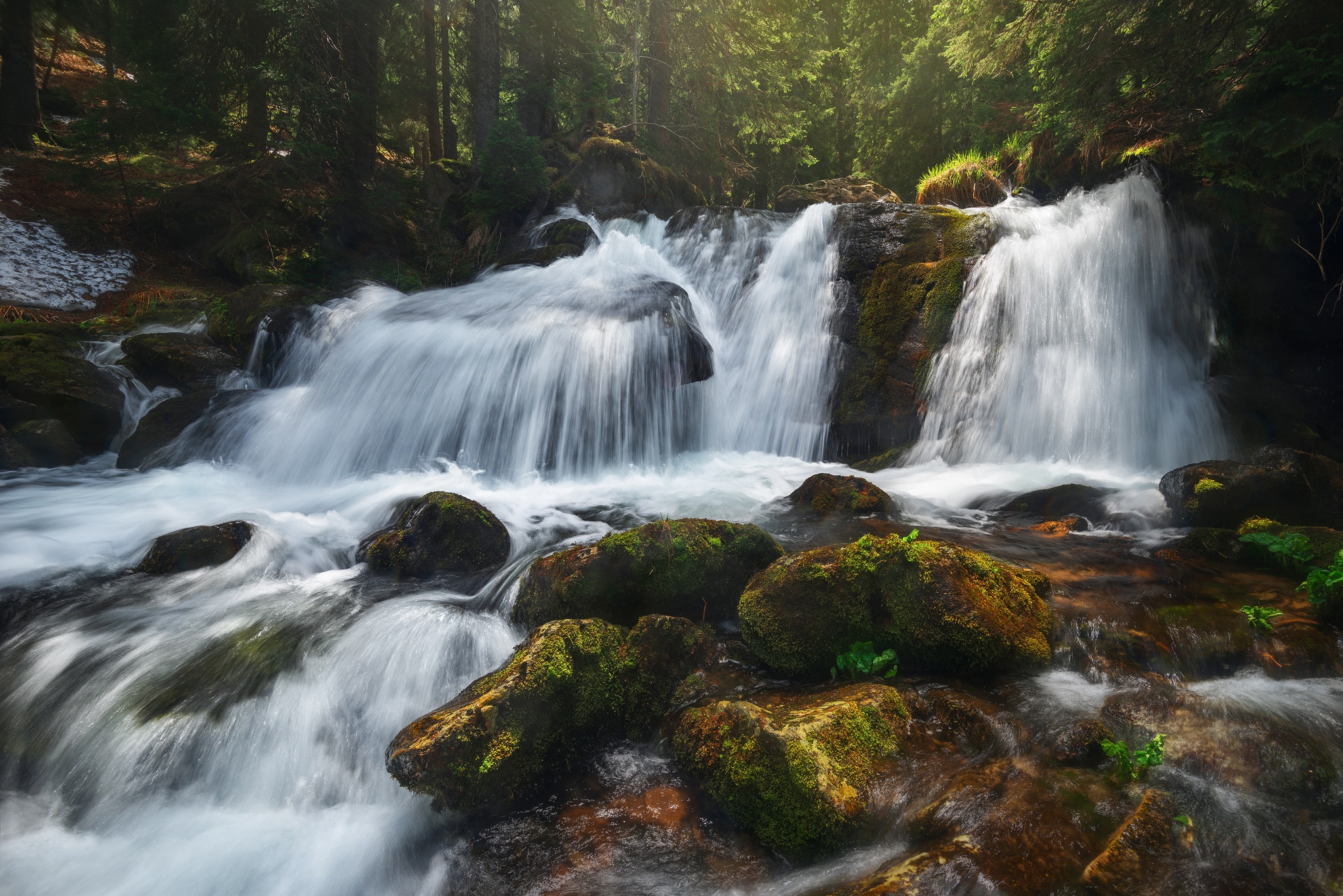 Waterfall cascading over mossy rocks in a forest HD Wallpaper