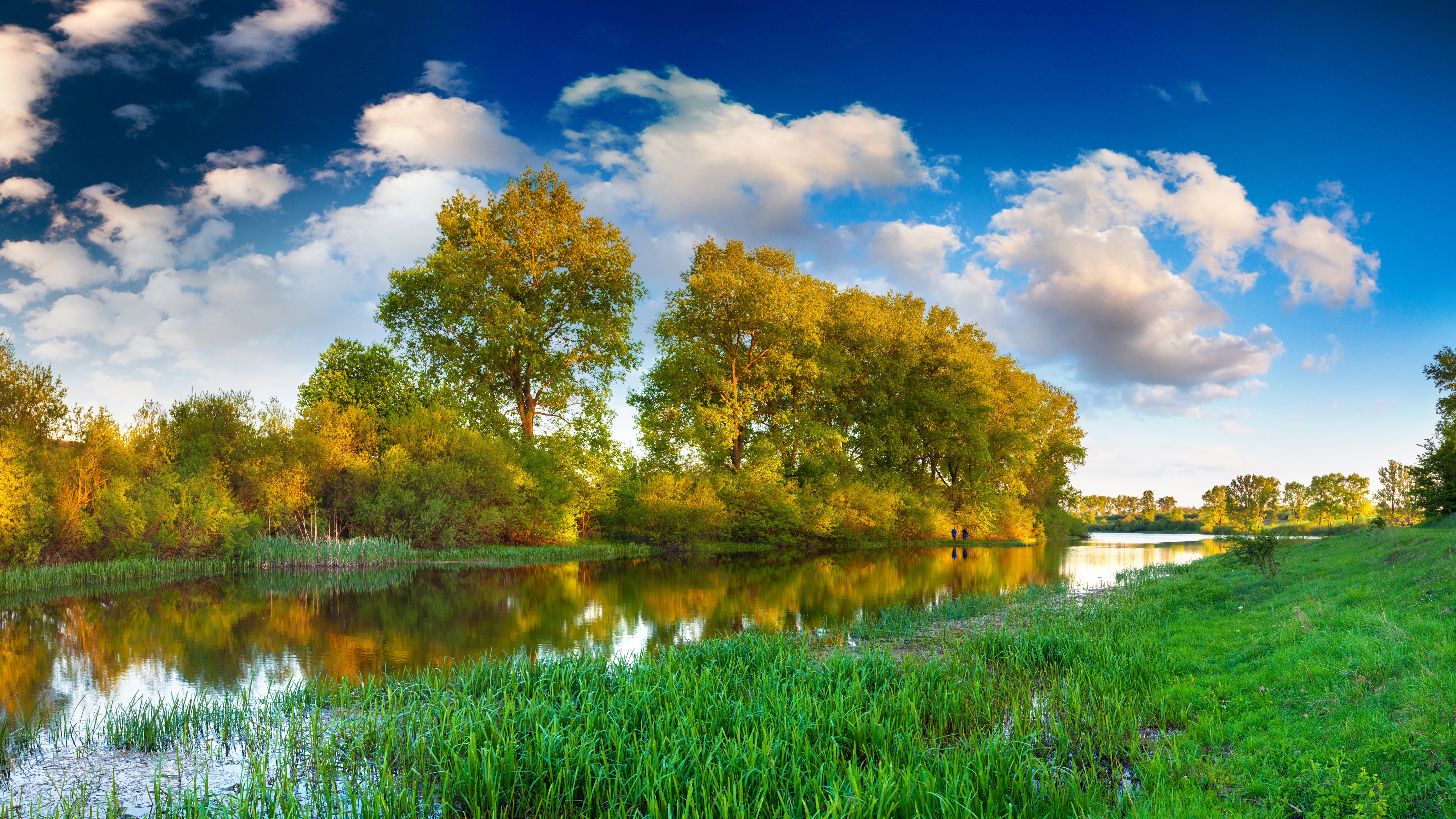 River with Trees and Clouds in Summer HD Wallpaper